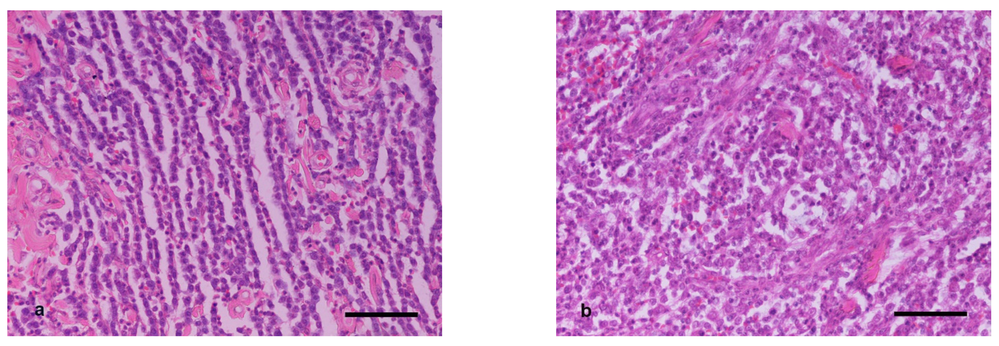 Vetsci 09 00202 g001 550