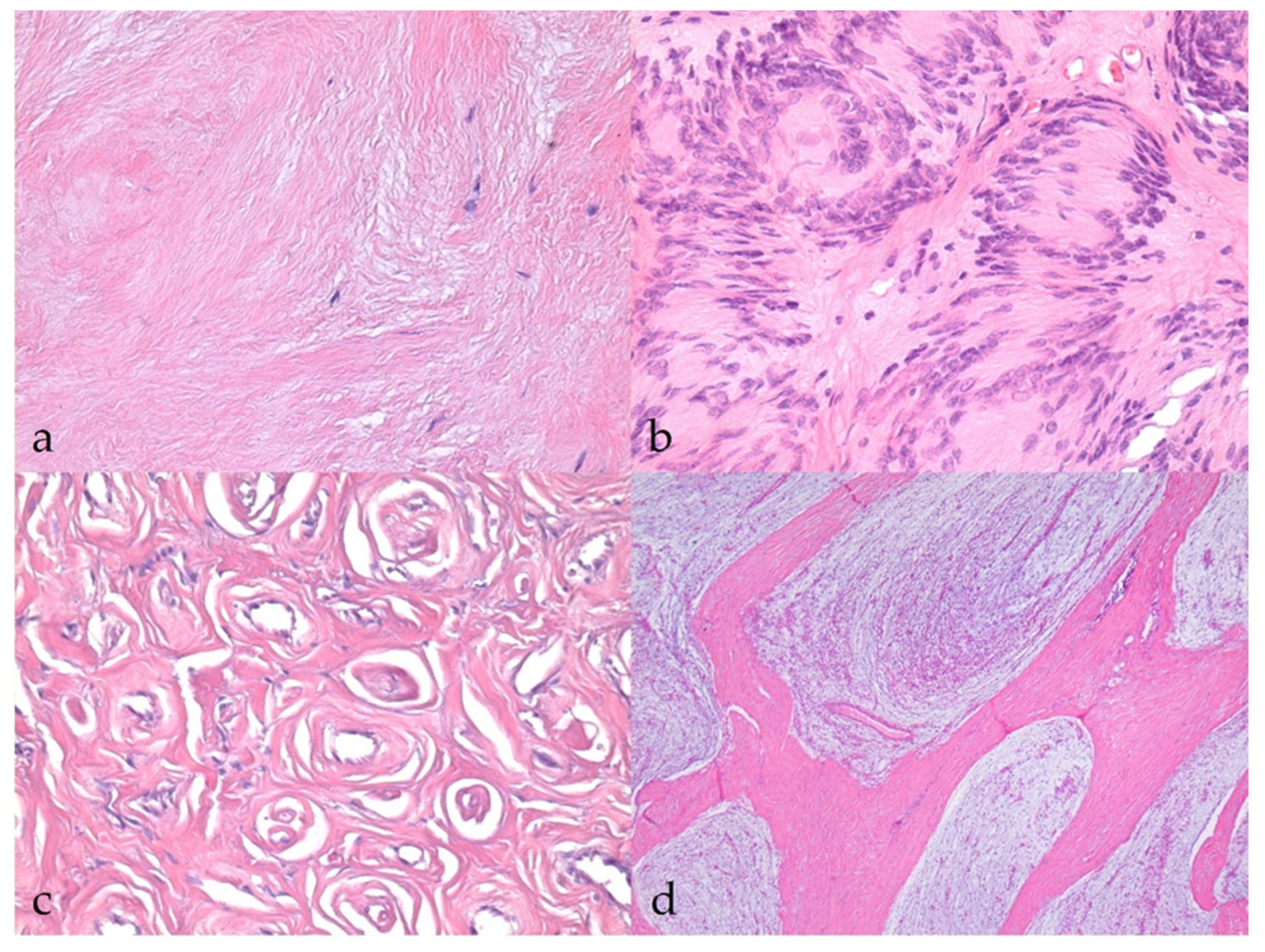 Vetsci 09 00204 g001