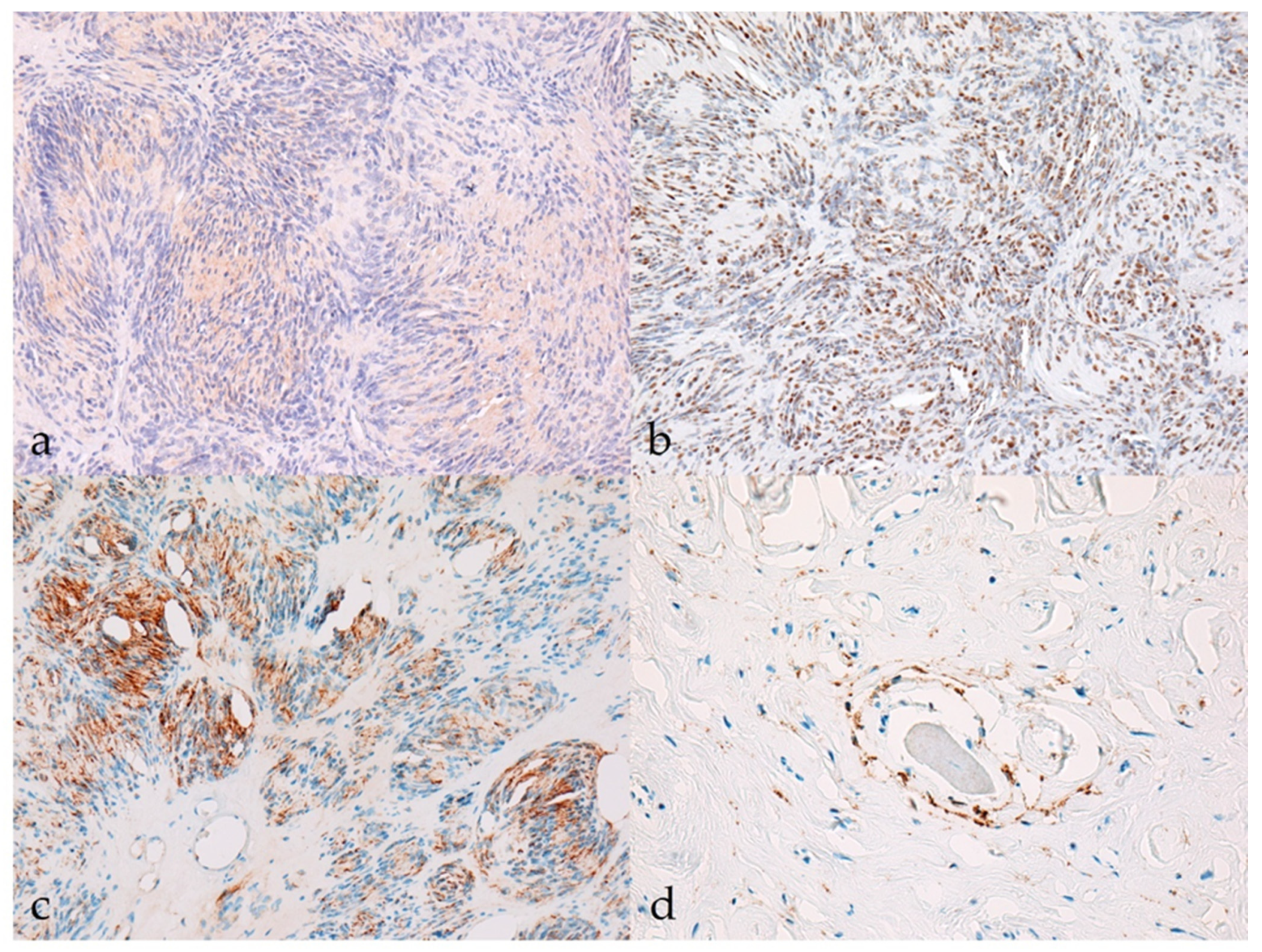 Vetsci 09 00204 g002