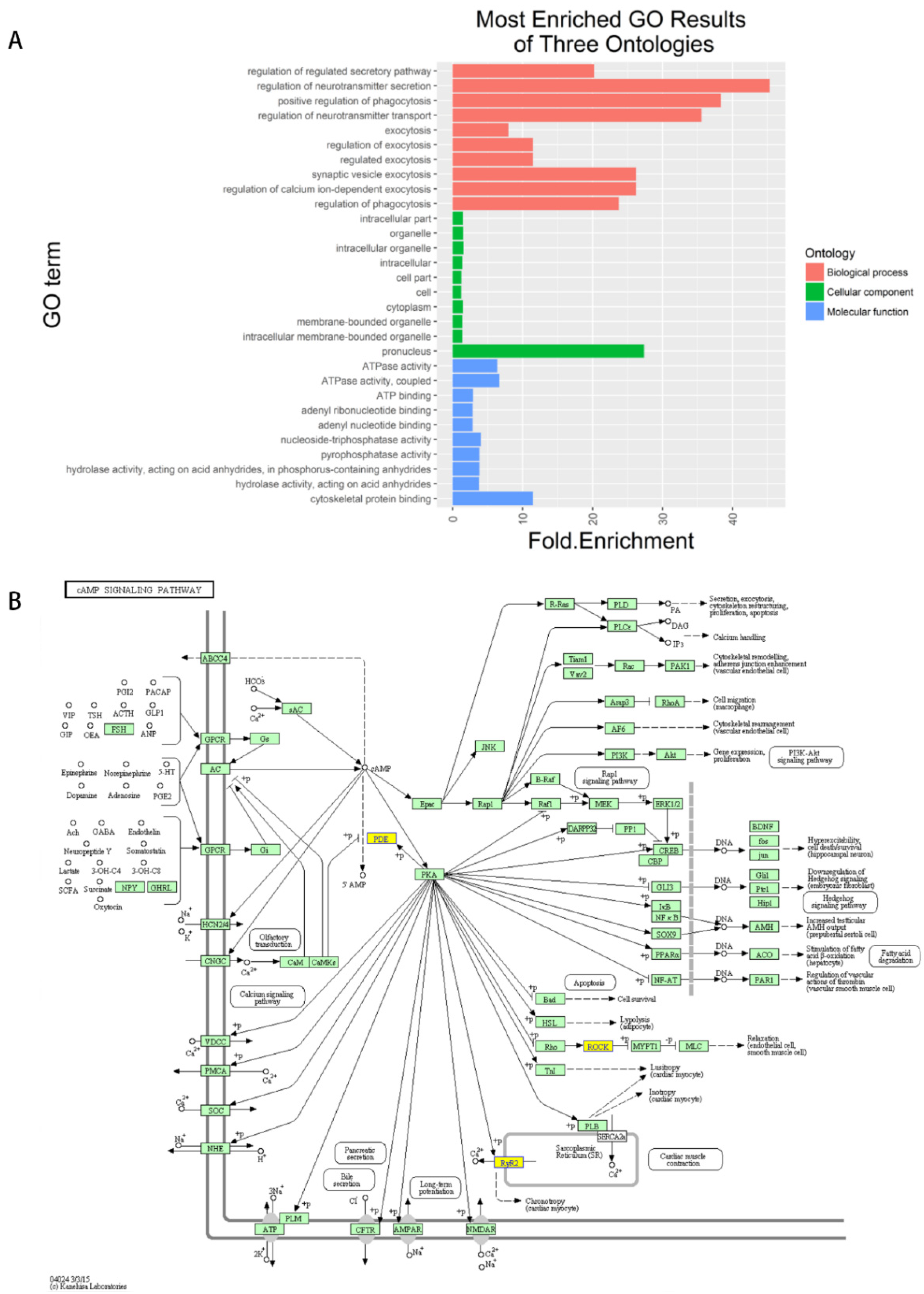 Vetsci 09 00205 g004