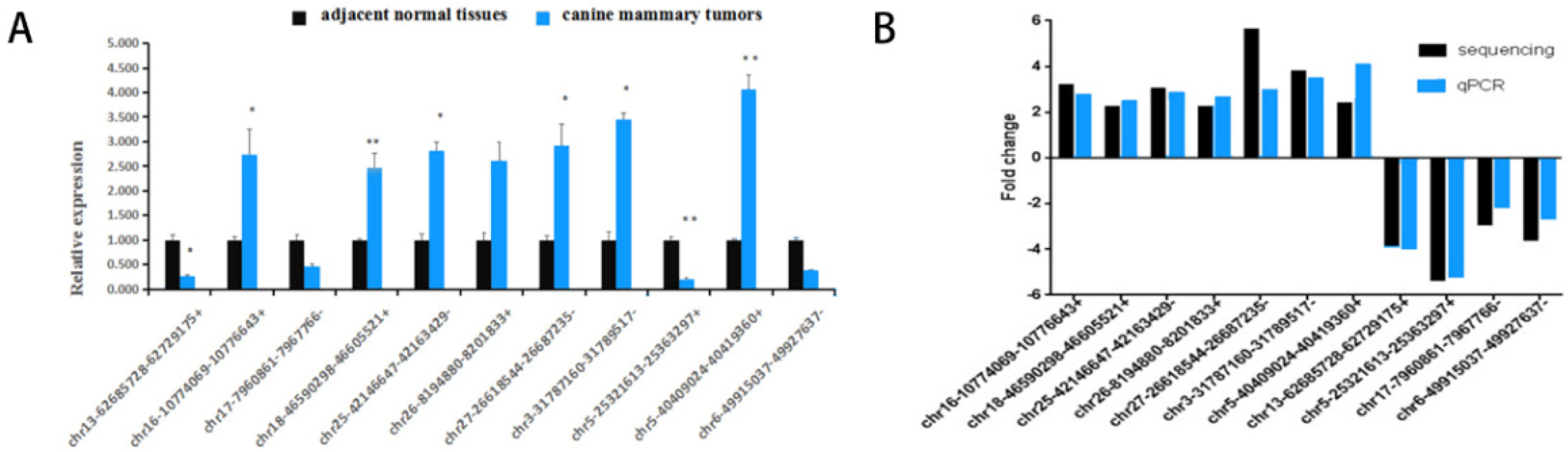 Vetsci 09 00205 g006