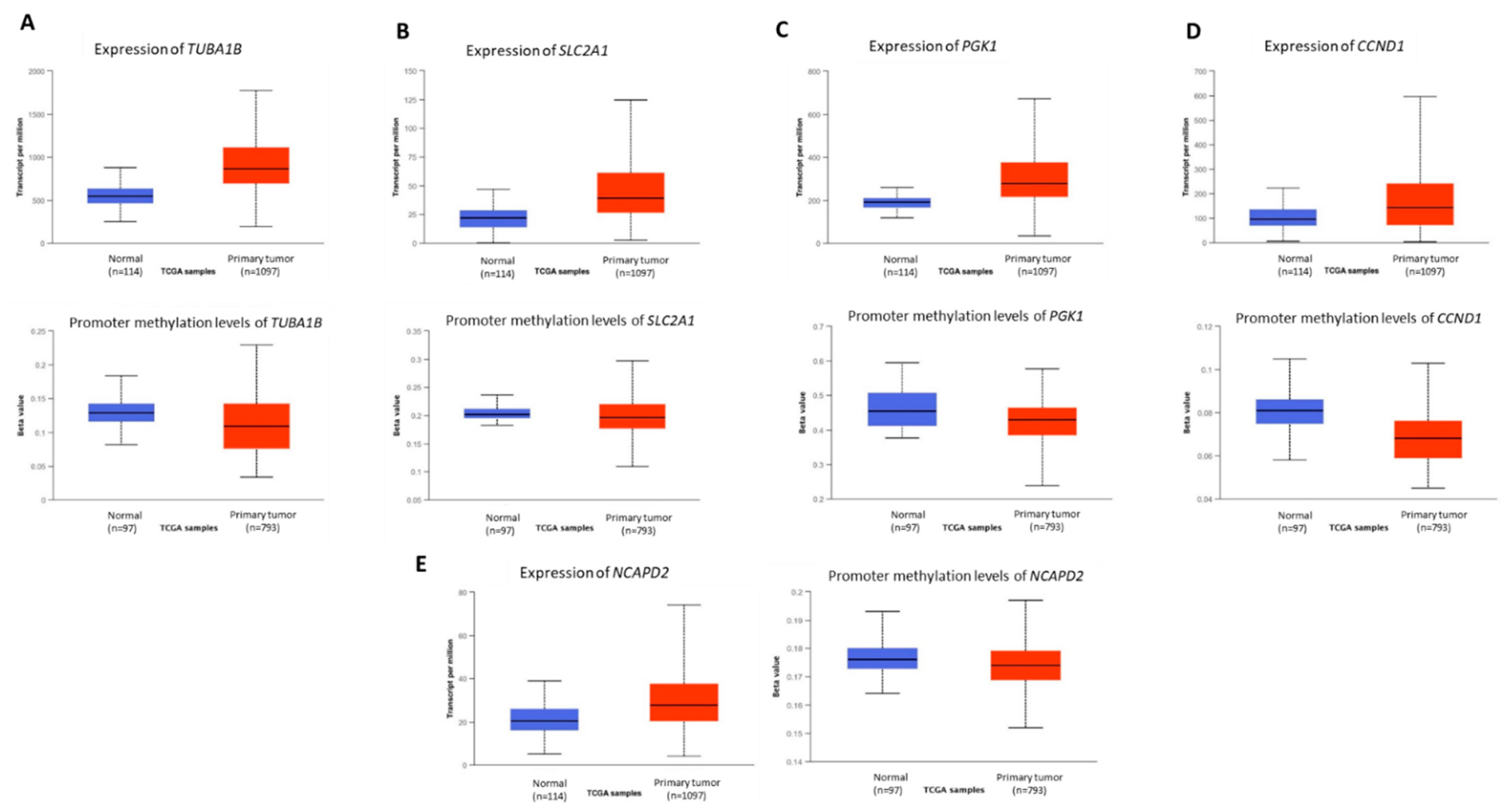 Vetsci 09 00210 g003