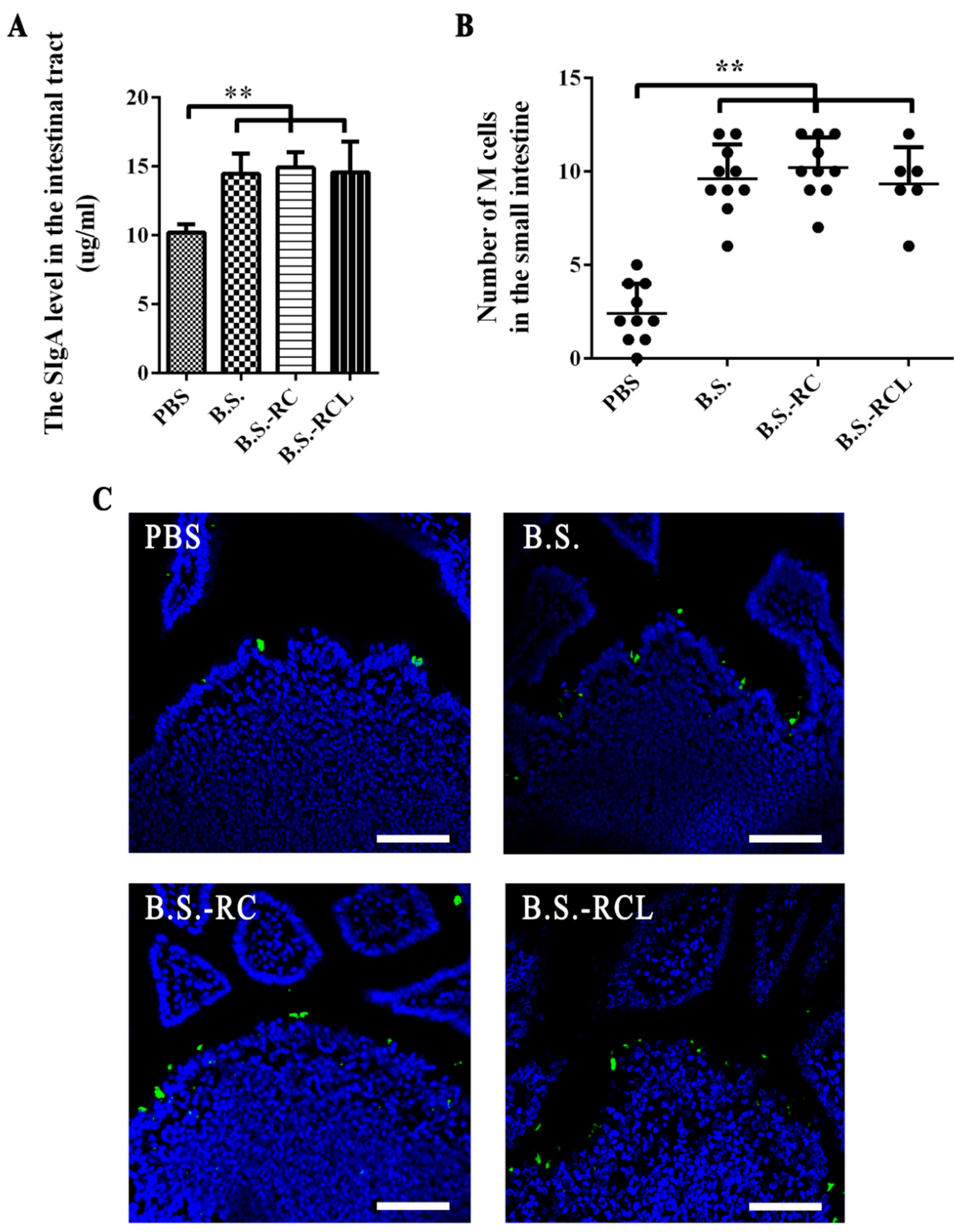 Vetsci 09 00211 g003 Vetsci 09 00211 g003