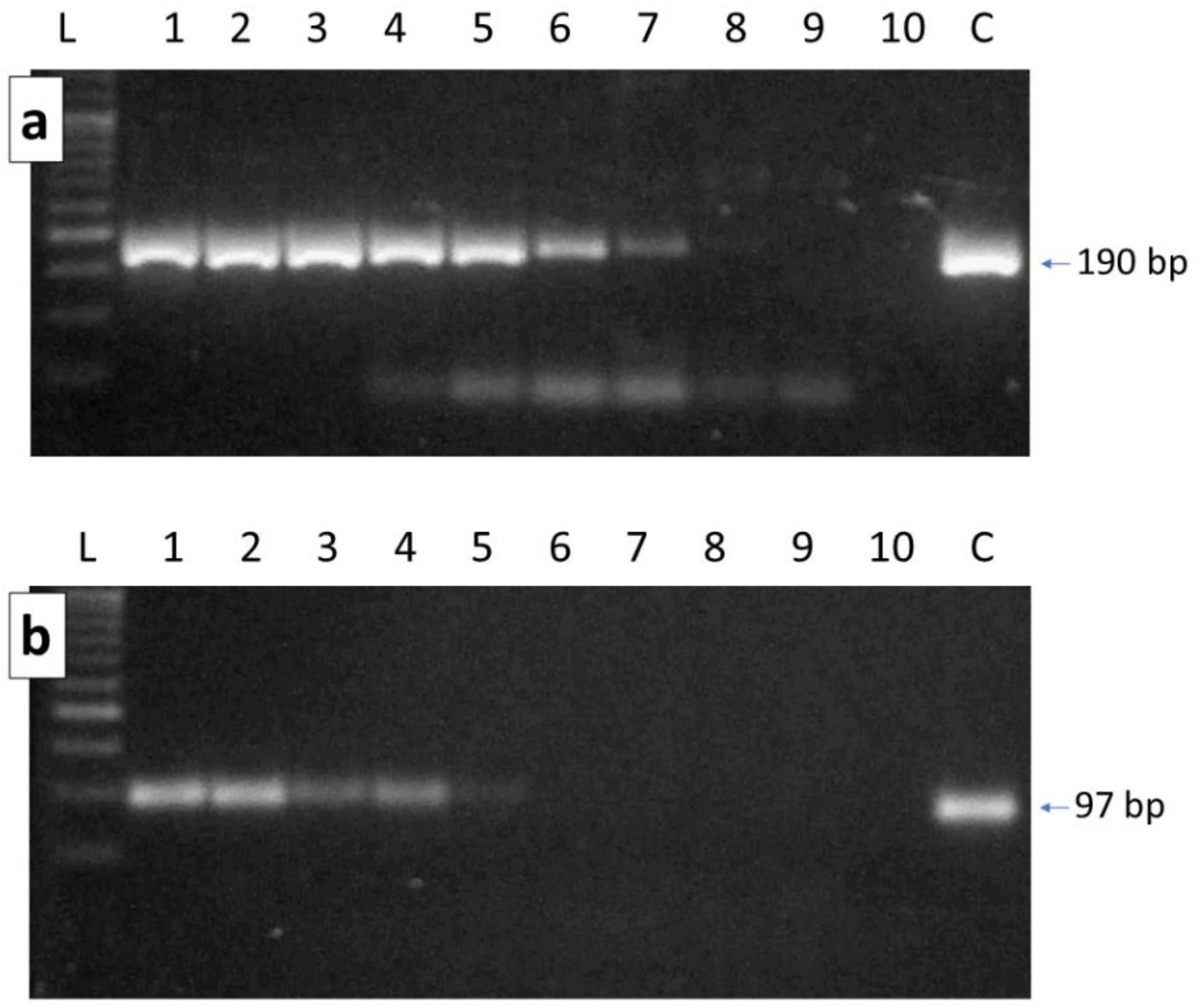 Vetsci 09 00213 g001