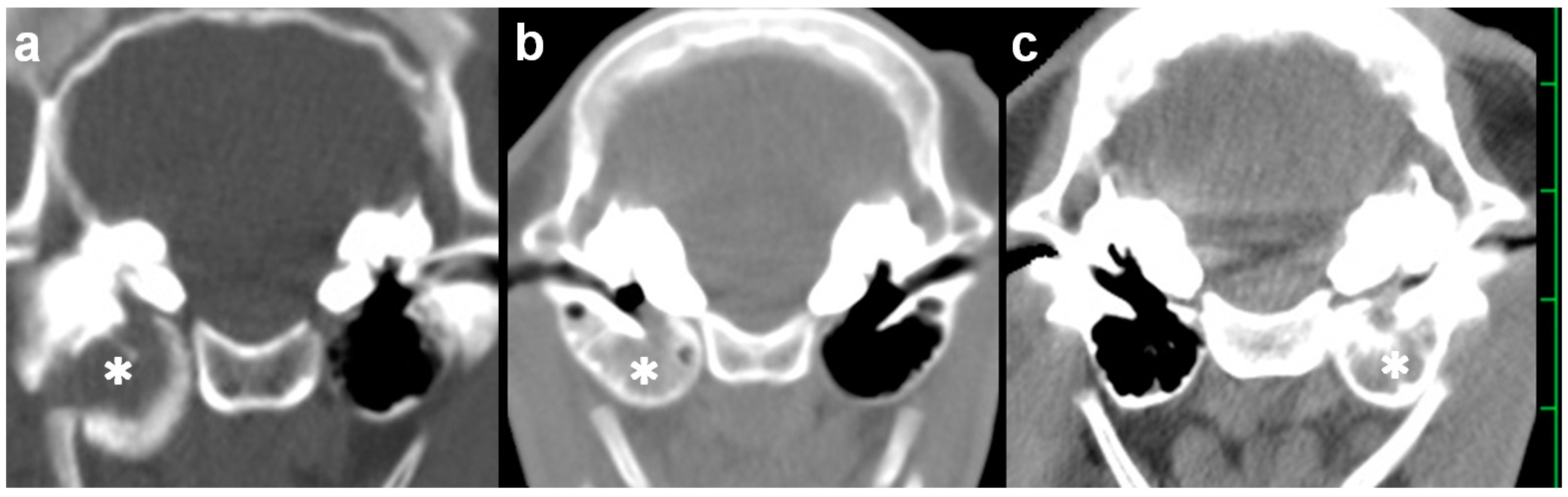 Vetsci 09 00218 g001 550