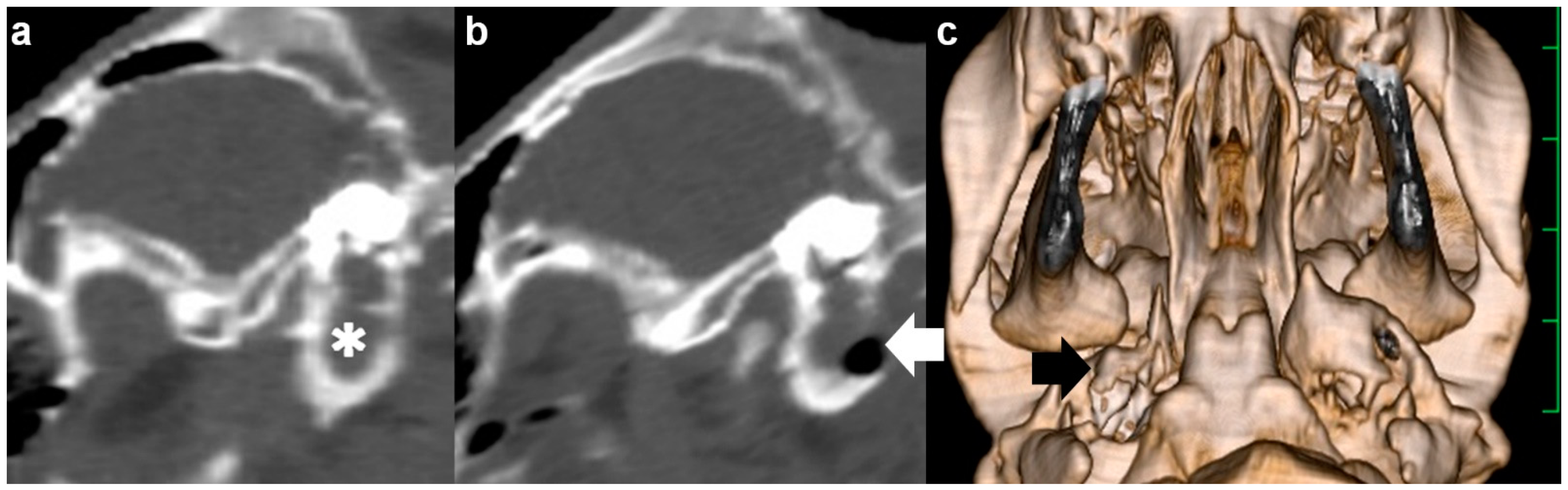 Vetsci 09 00218 g002 550