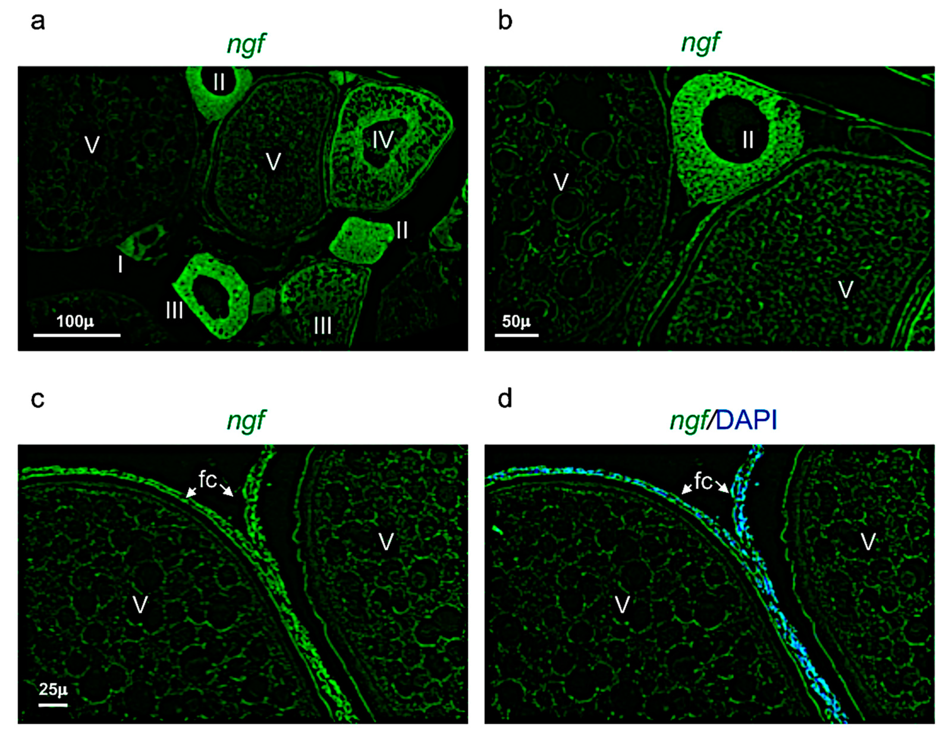 Vetsci 09 00225 g007
