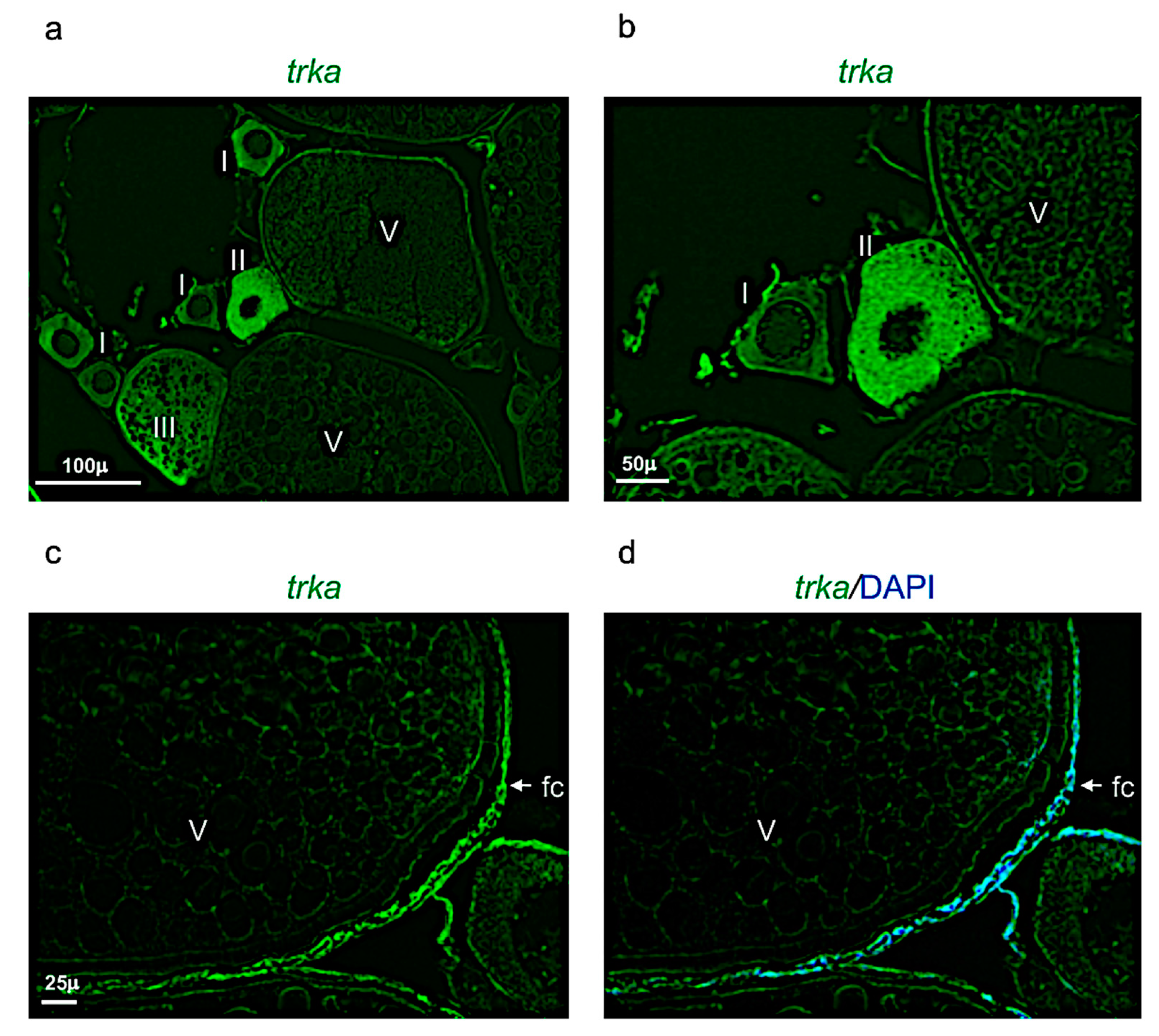 Vetsci 09 00225 g008
