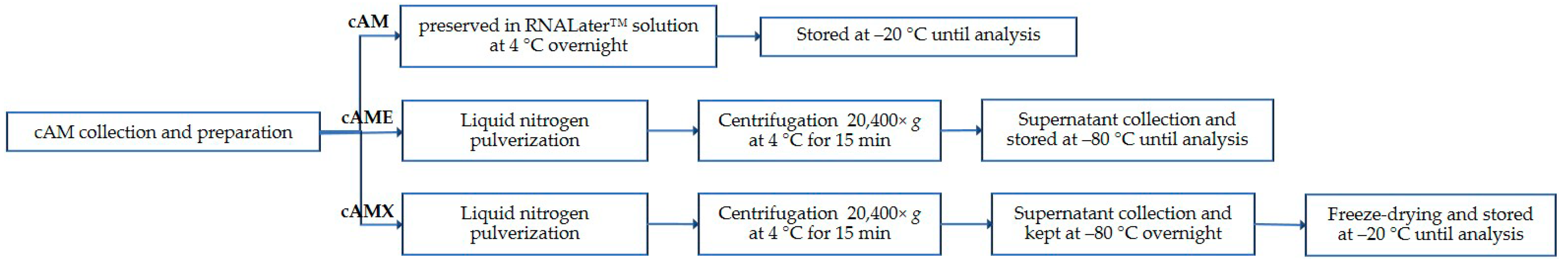 Vetsci 09 00227 g001
