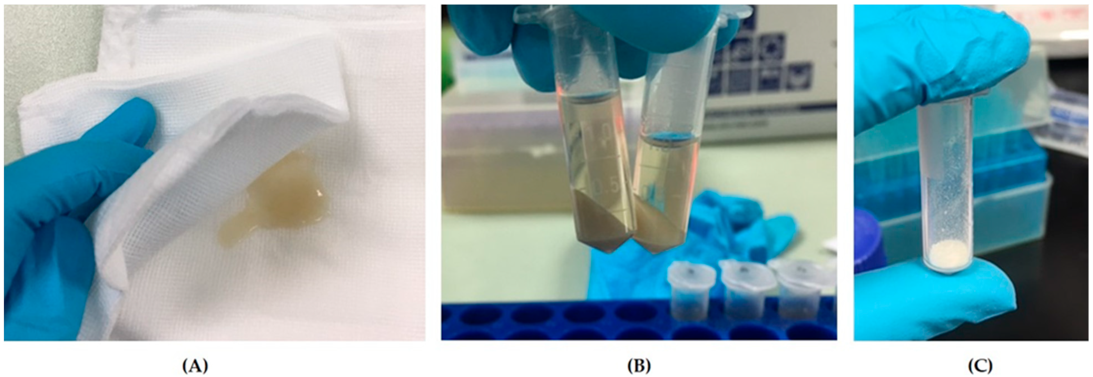 Vetsci 09 00227 g002