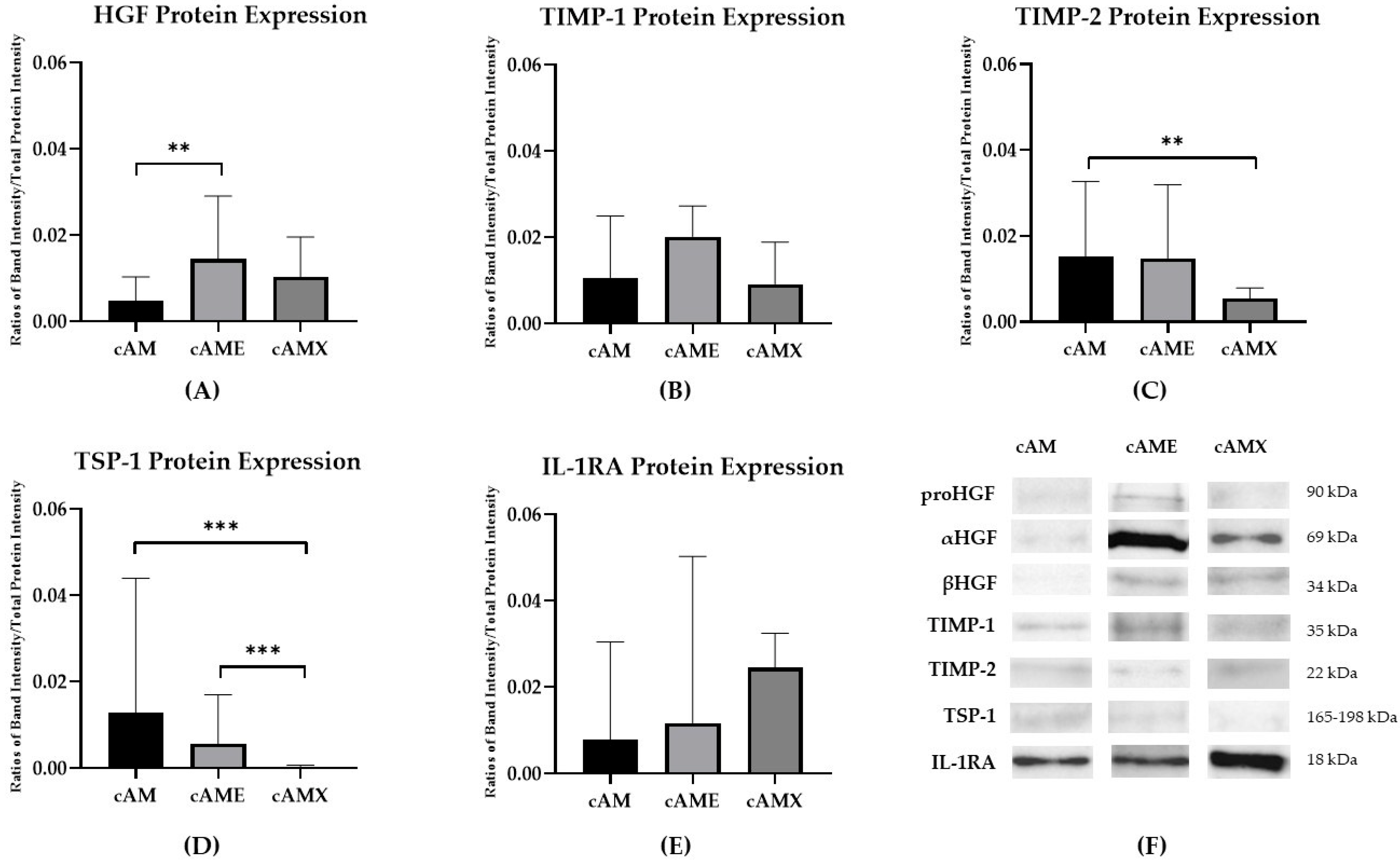 Vetsci 09 00227 g003