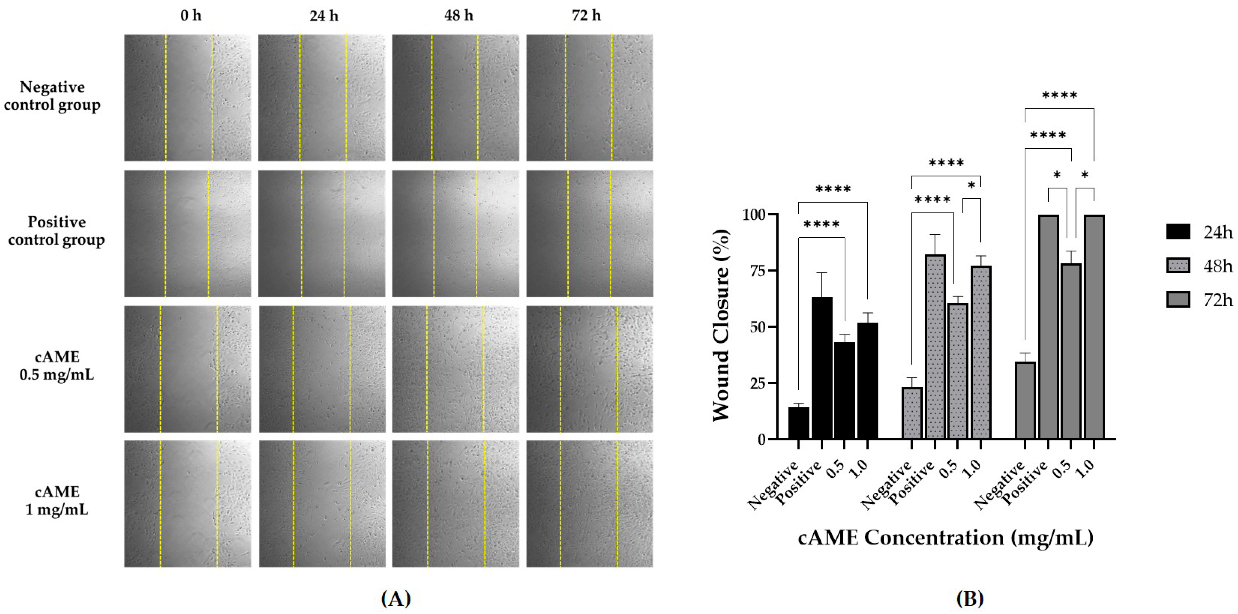 Vetsci 09 00227 g005