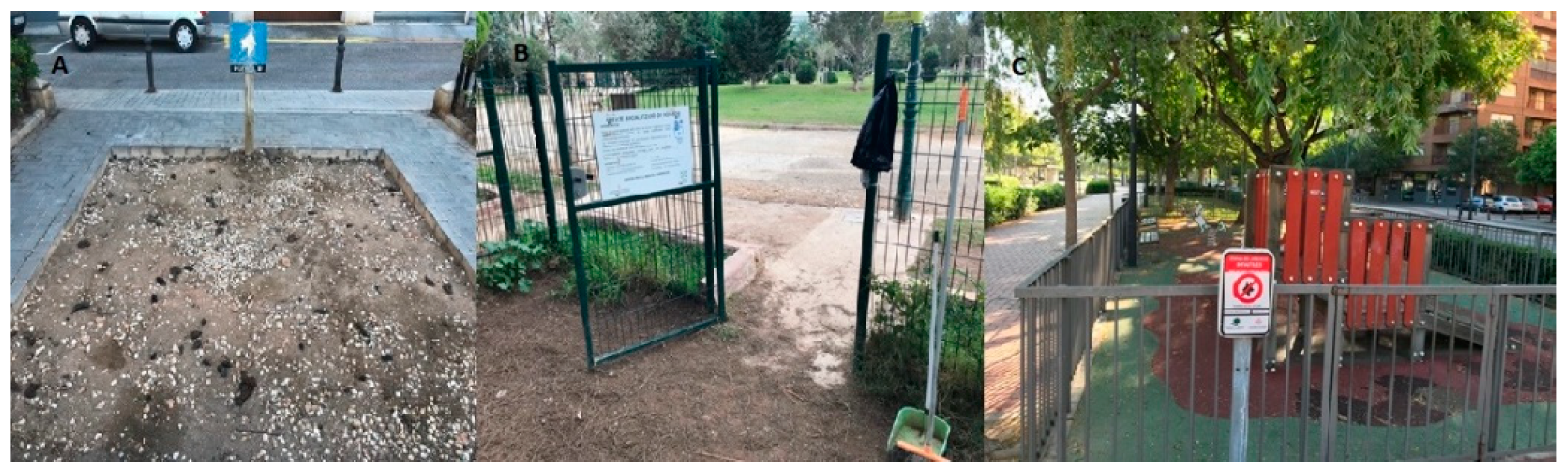 Vetsci 09 00232 g002 550