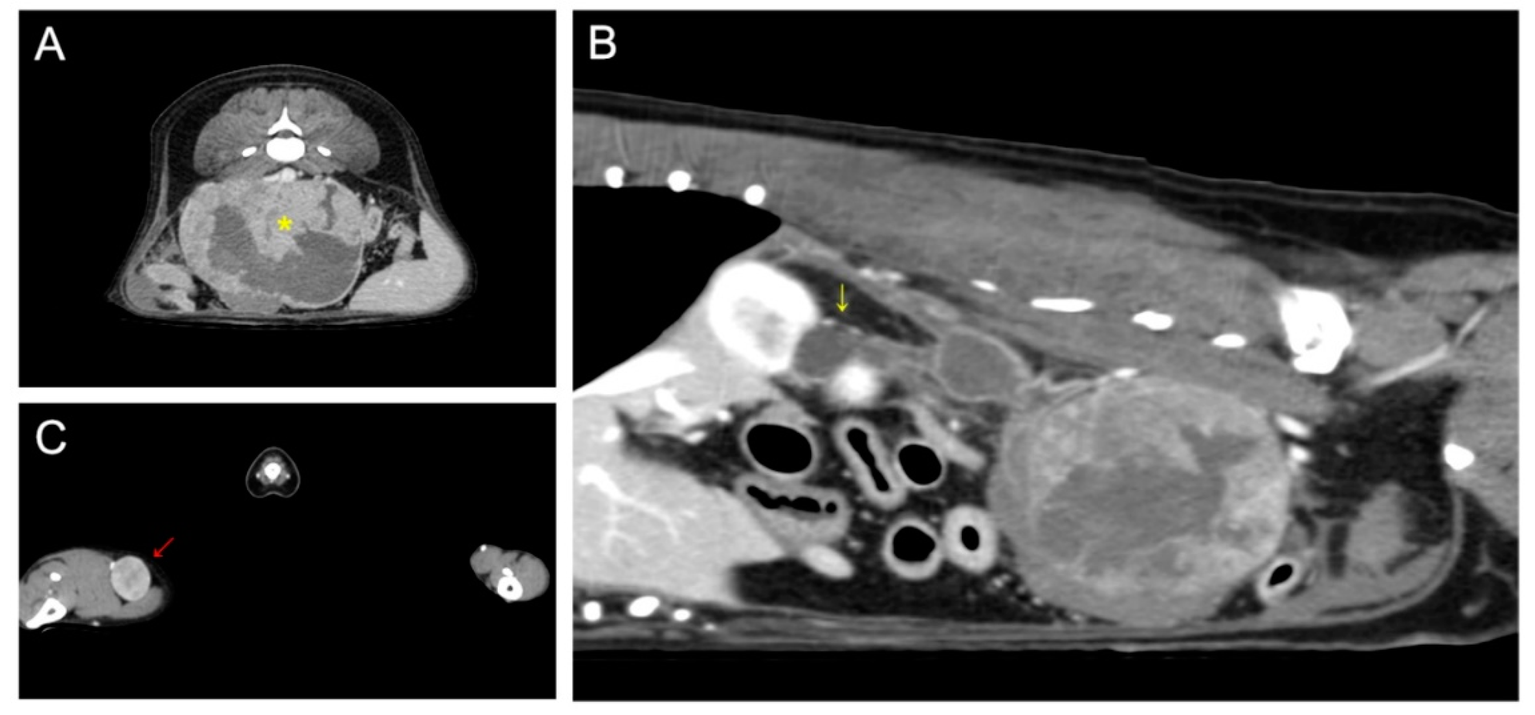 Vetsci 09 00234 g001 550