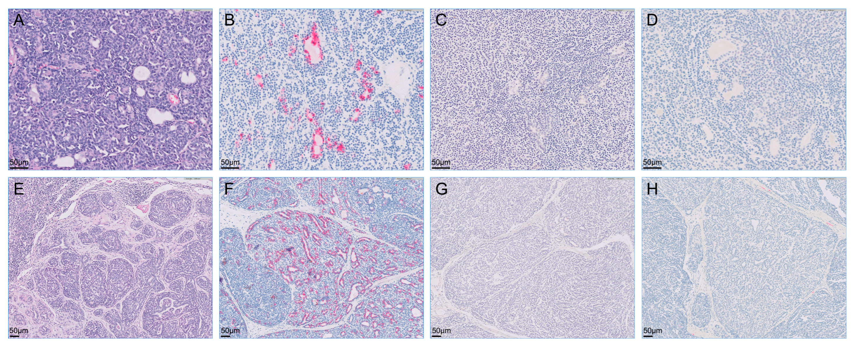 Vetsci 09 00234 g004 550