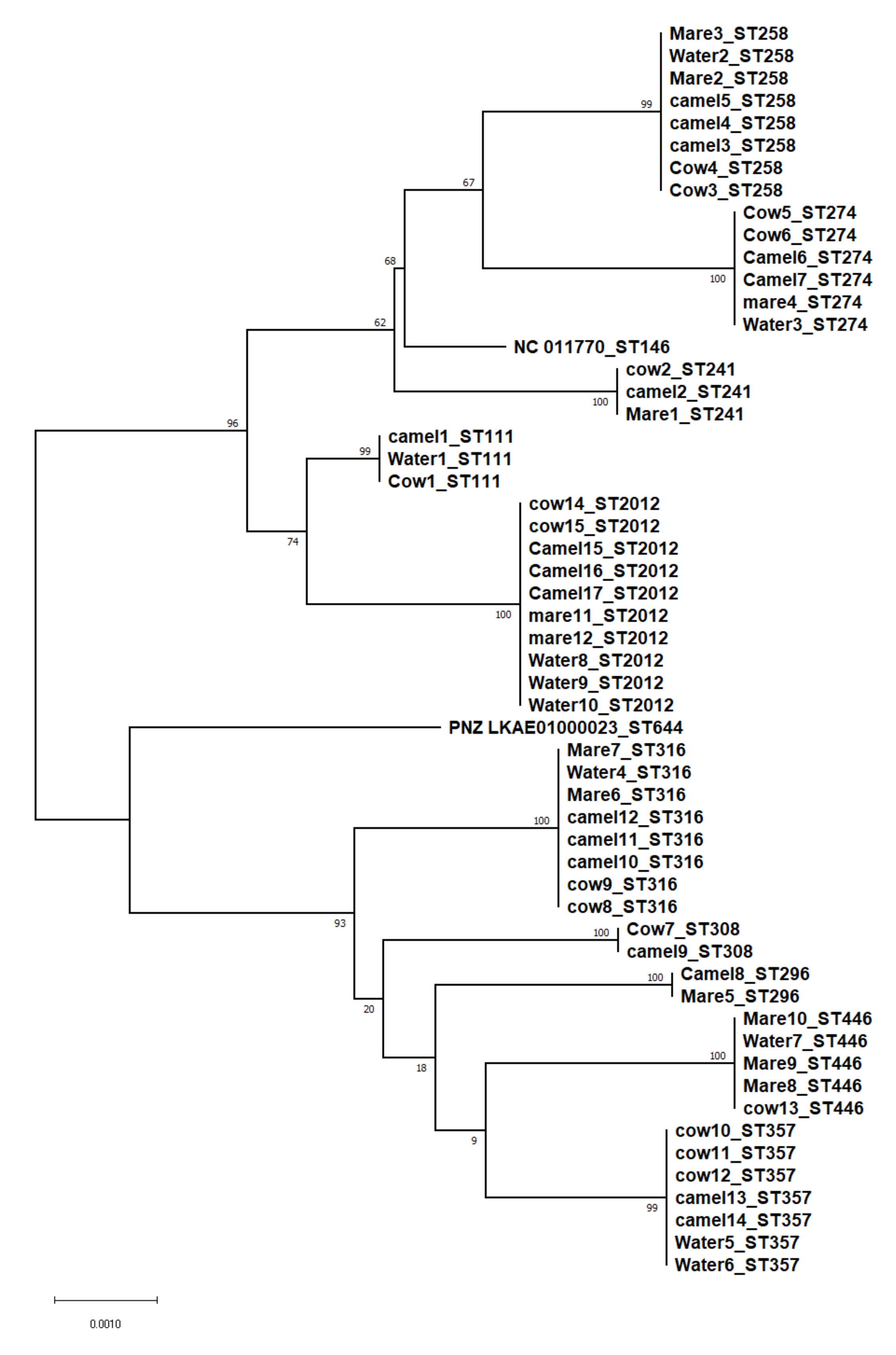 Vetsci 09 00239 g001 Vetsci 09 00239 g001