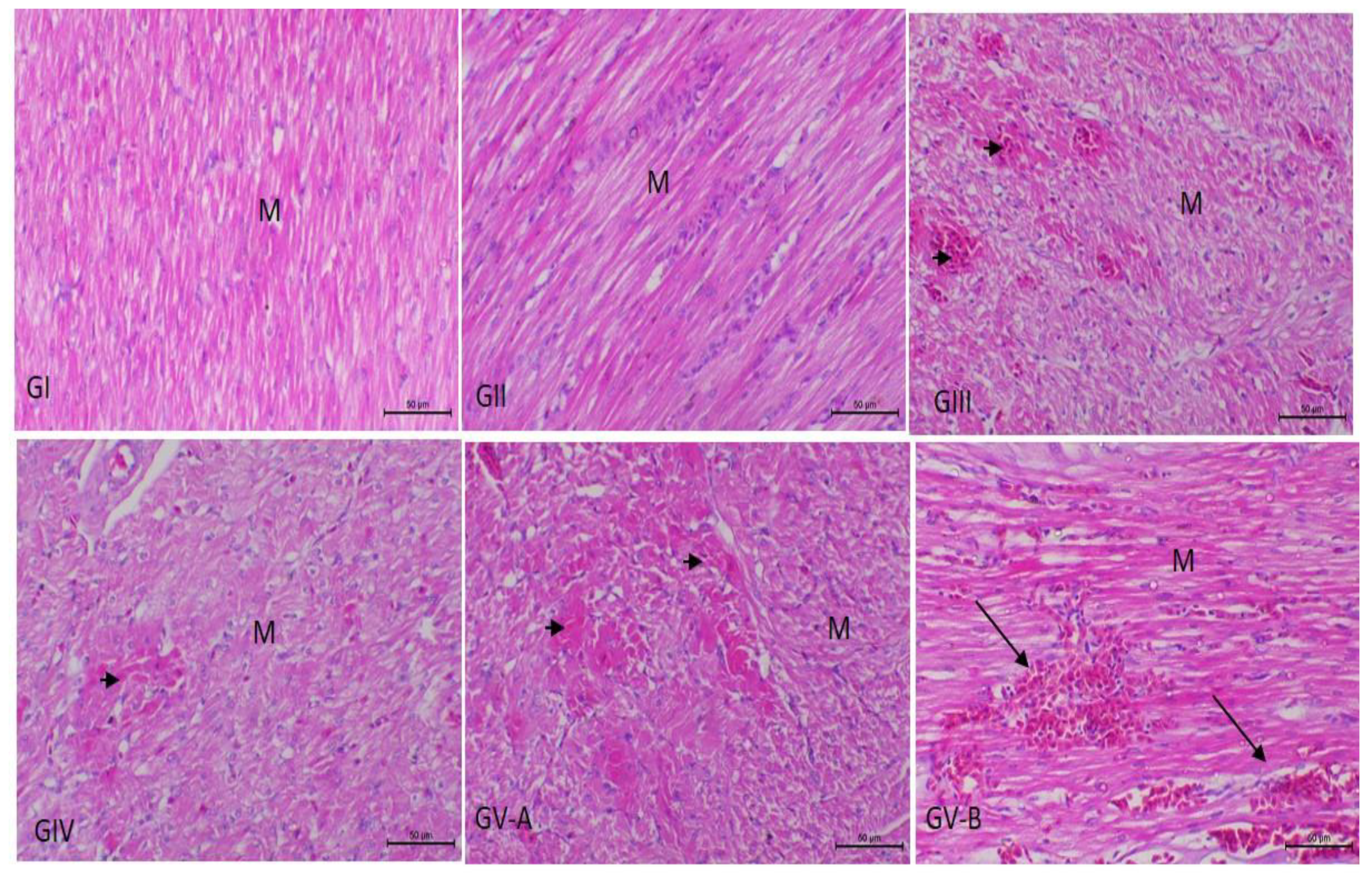 Vetsci 09 00240 g002