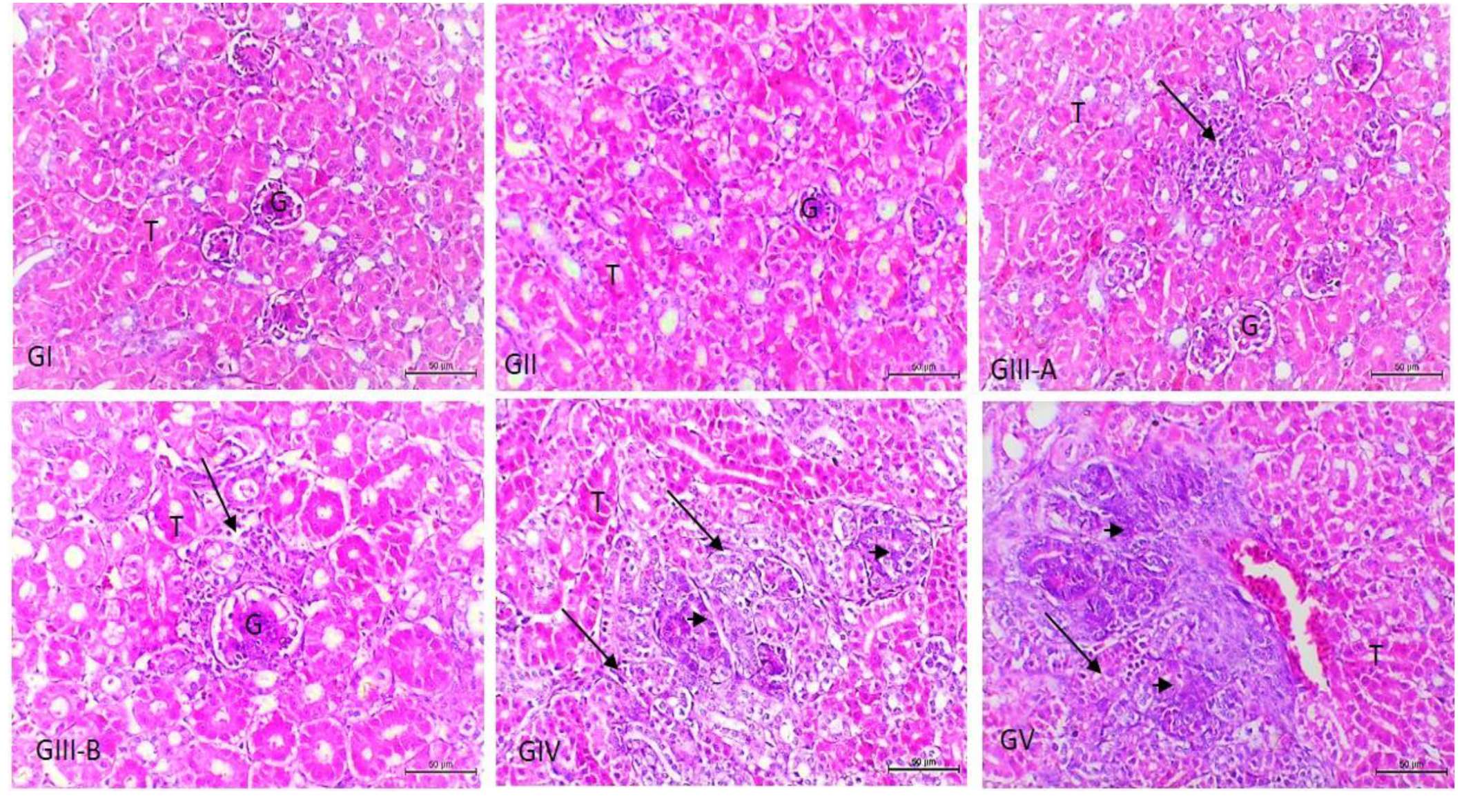 Vetsci 09 00240 g003