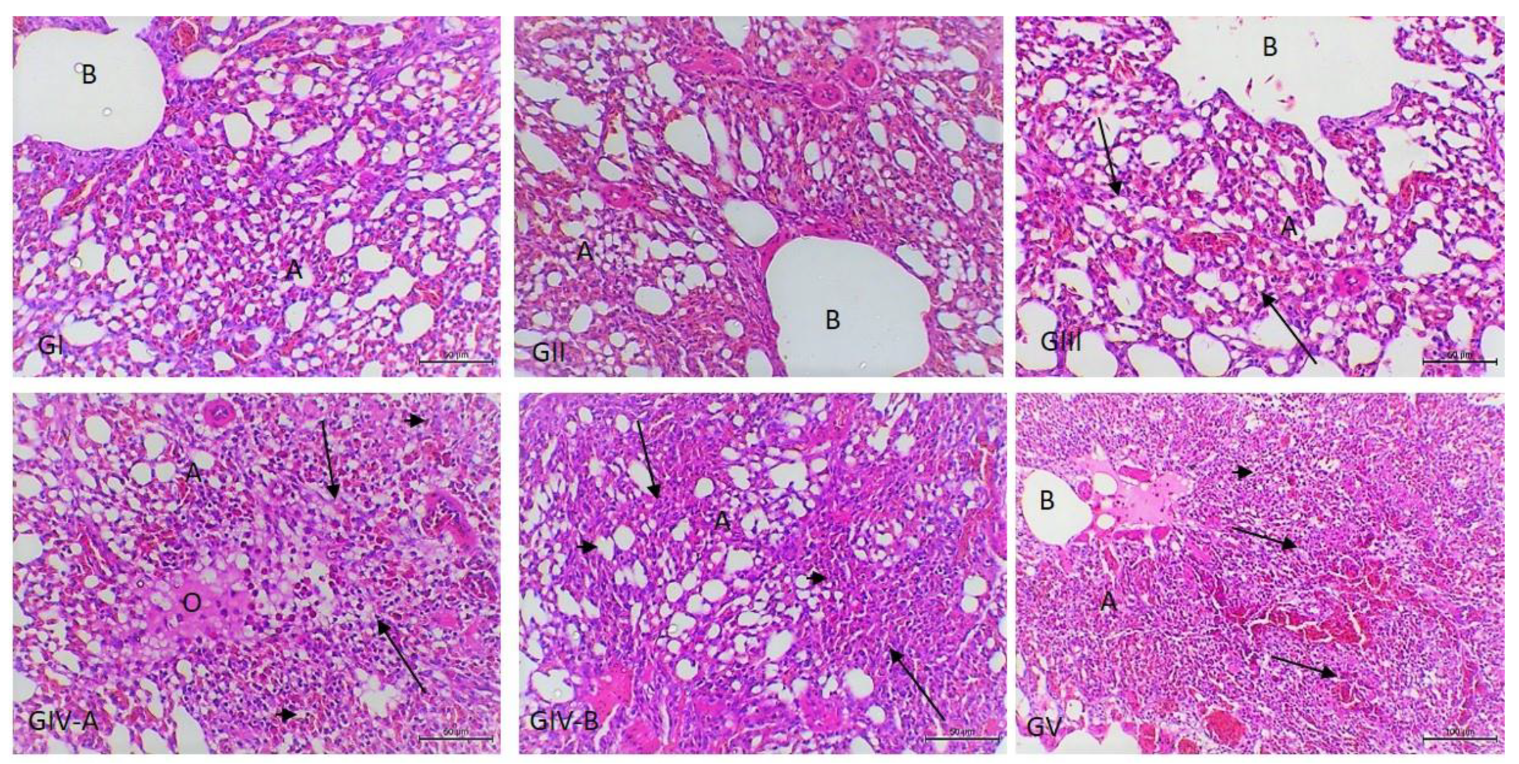 Vetsci 09 00240 g004
