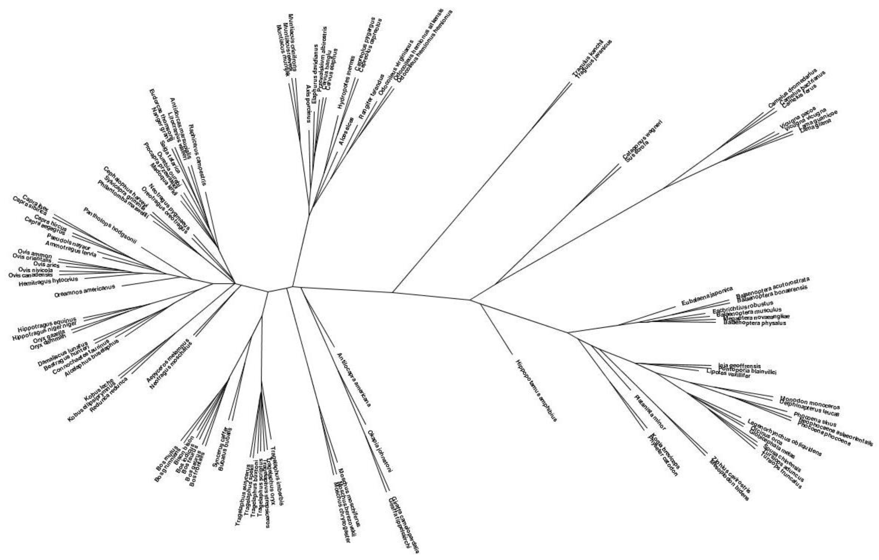Vetsci 09 00247 g001
