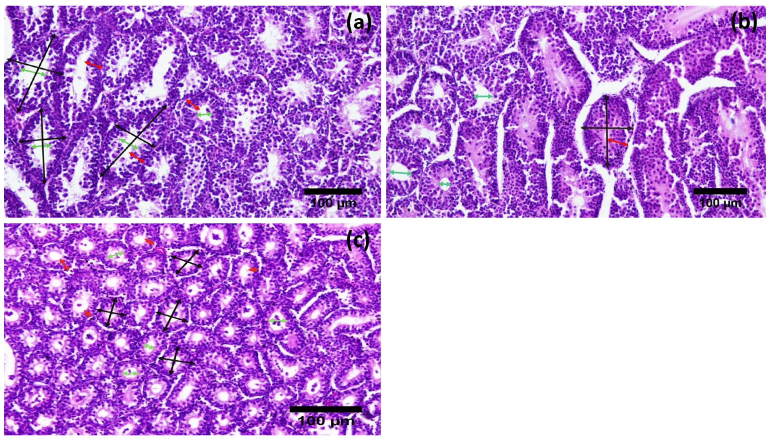 Vetsci 09 00248 g003