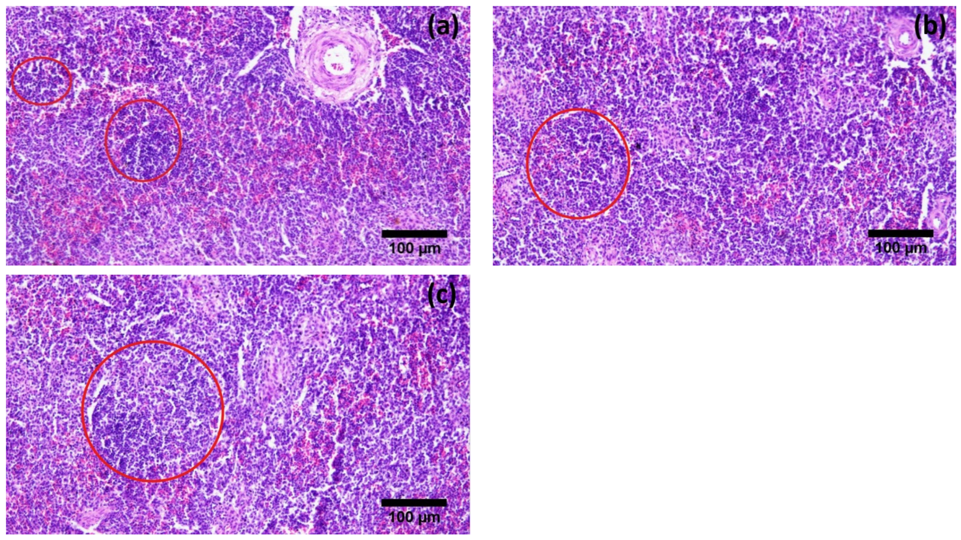 Vetsci 09 00248 g004