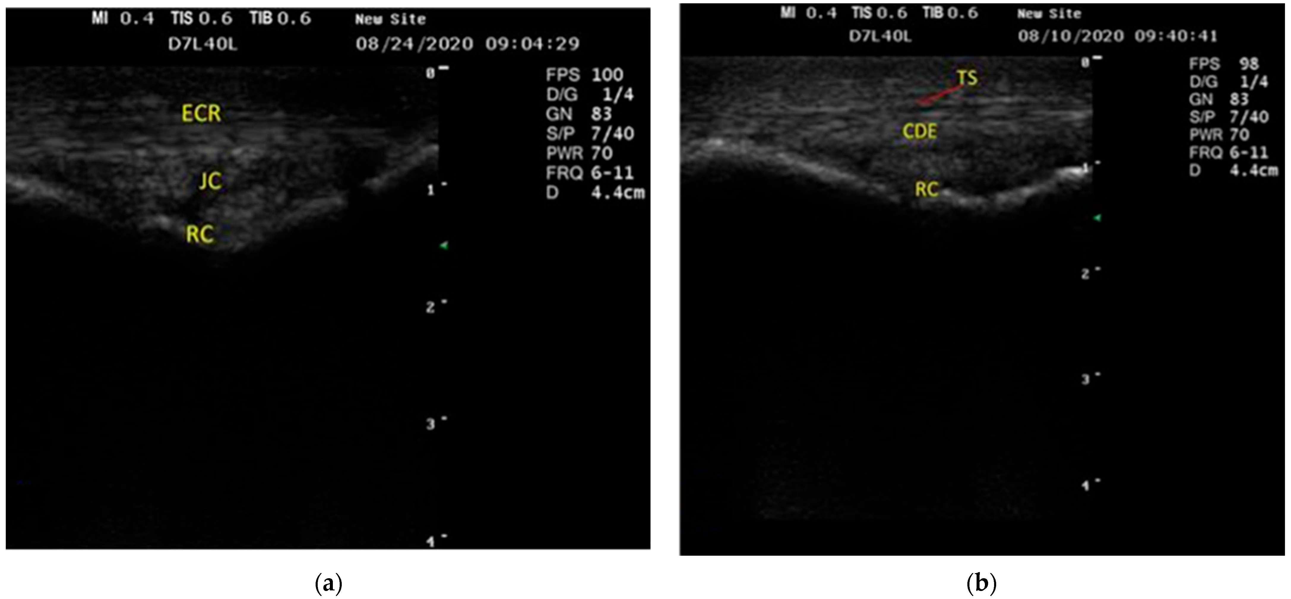 Vetsci 09 00249 g001