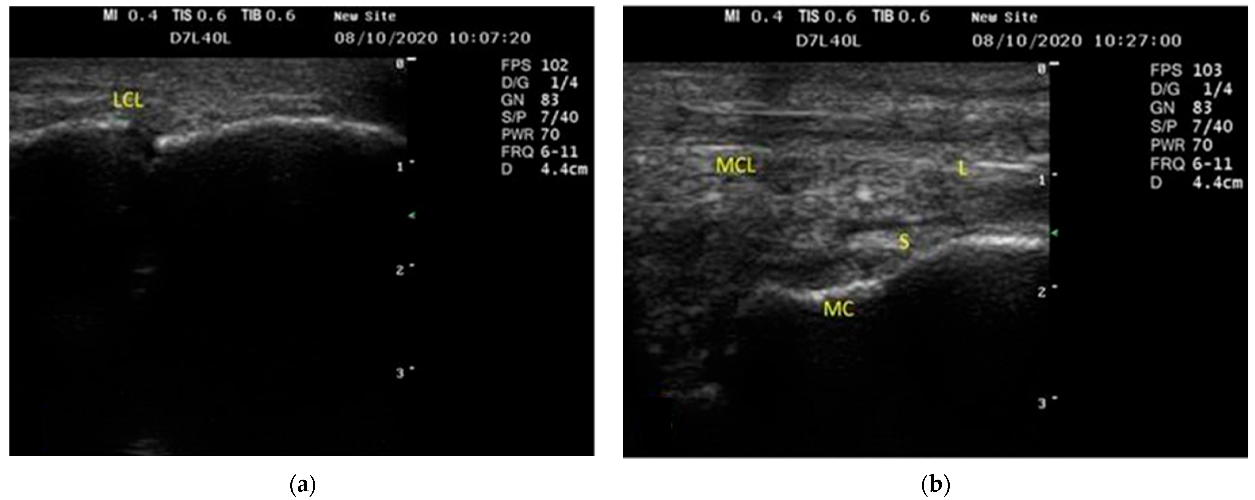 Vetsci 09 00249 g002