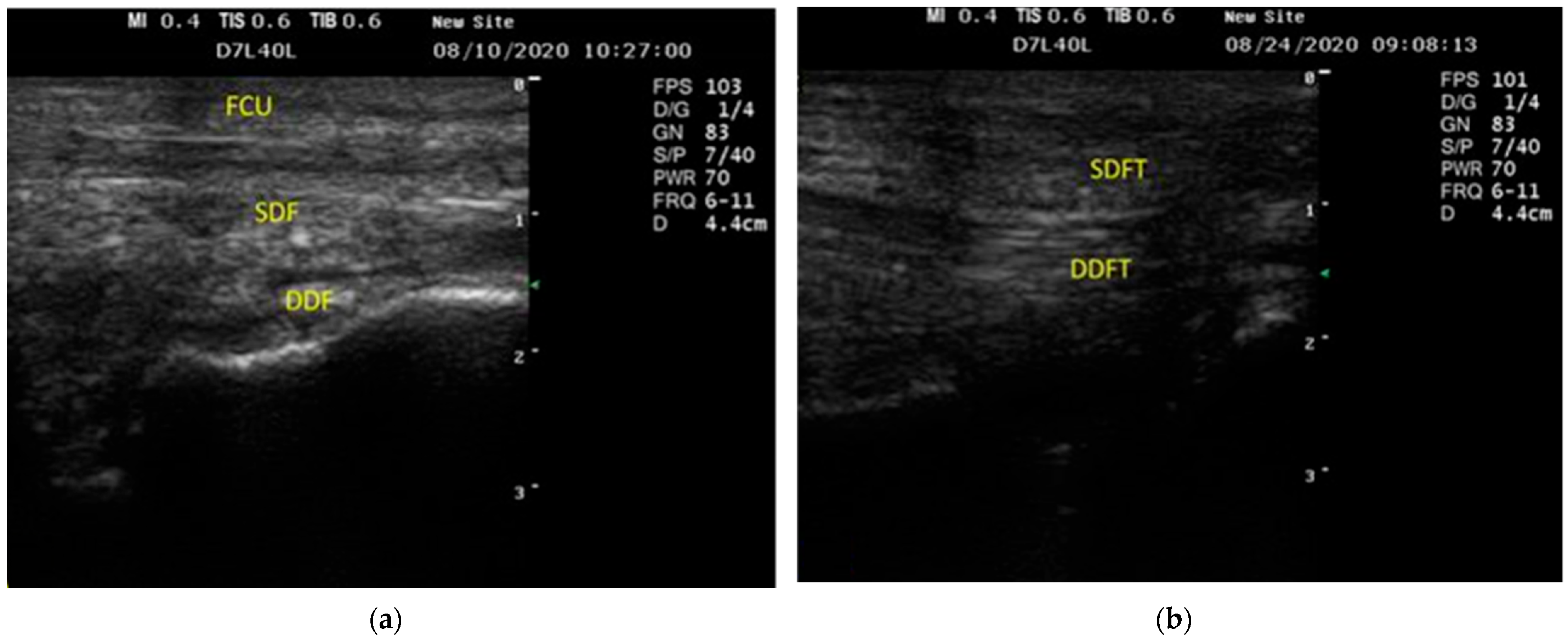 Vetsci 09 00249 g003