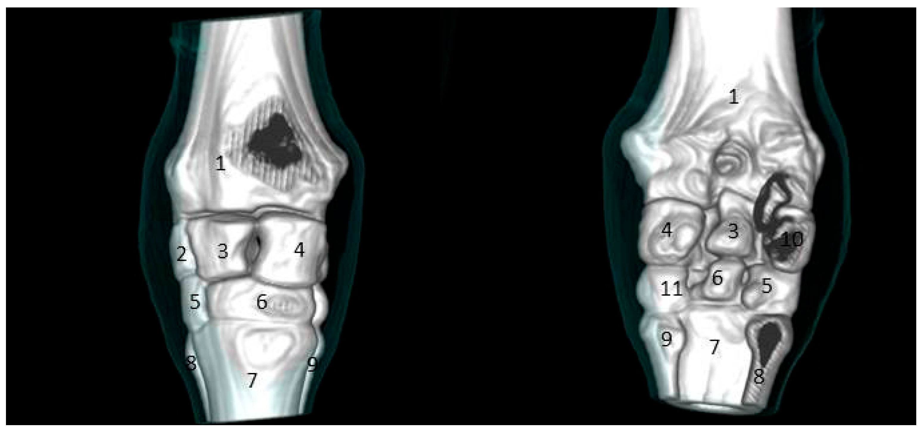 Vetsci 09 00249 g005