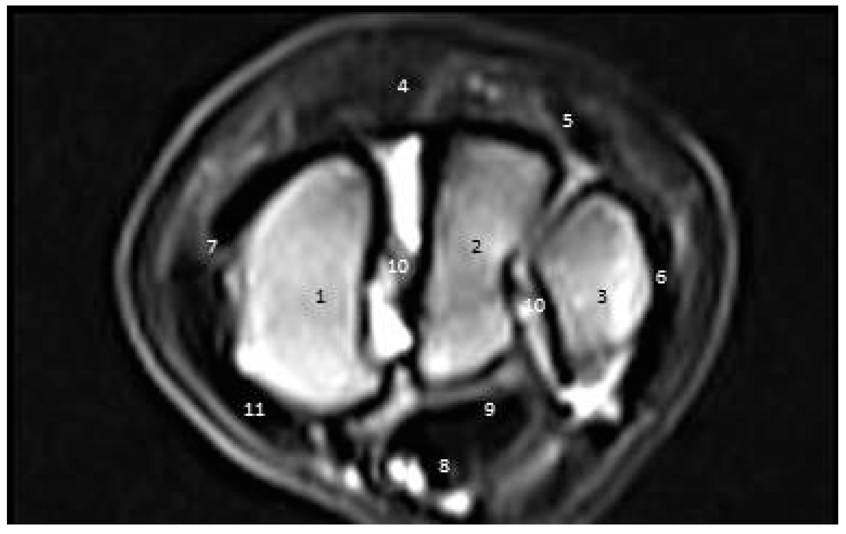 Vetsci 09 00249 g009