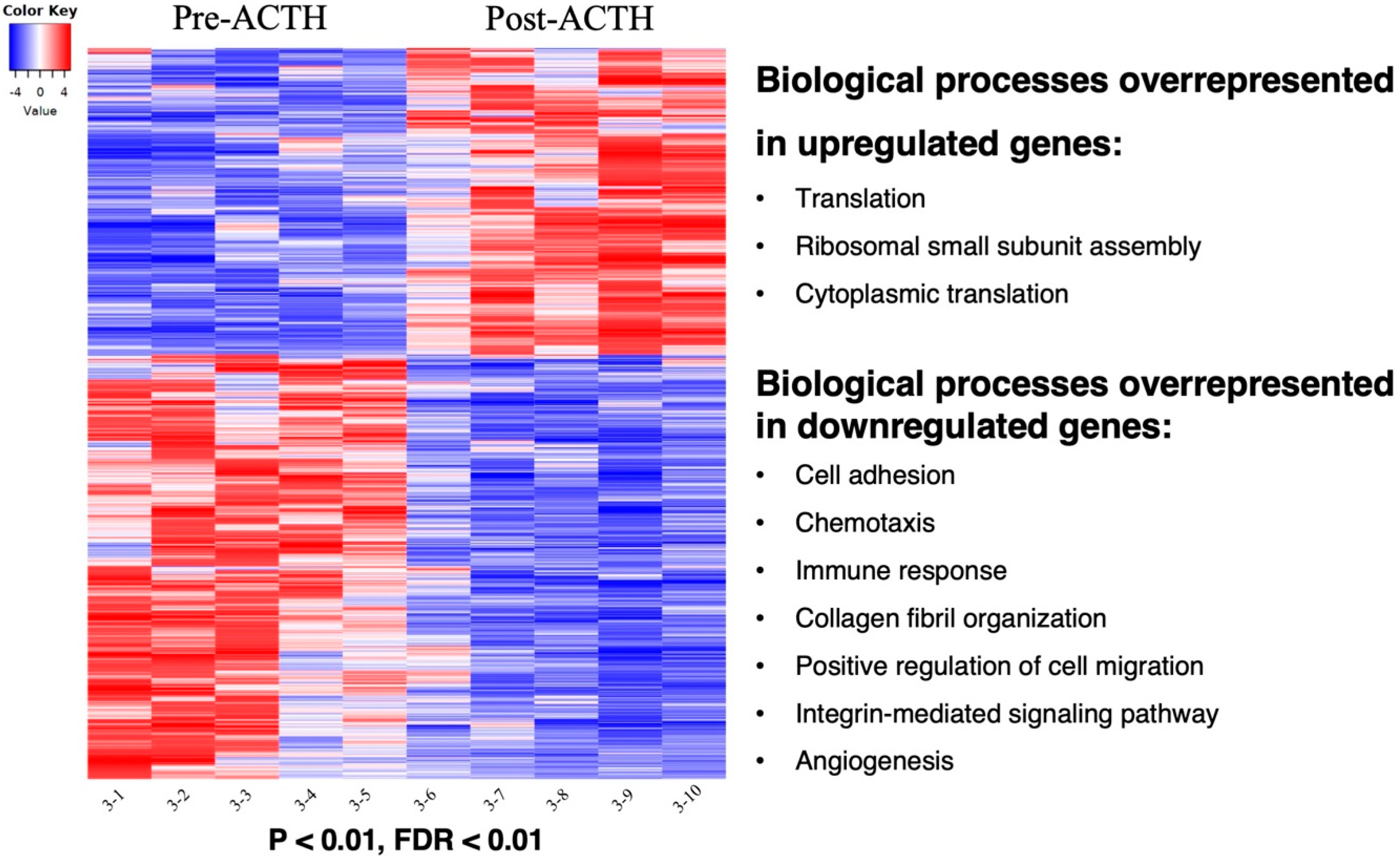 Vetsci 09 00250 g002
