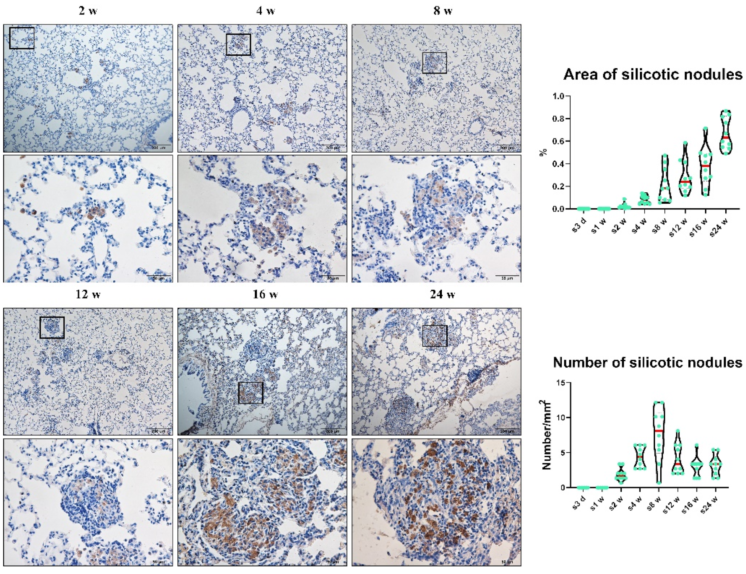 Vetsci 09 00251 g001