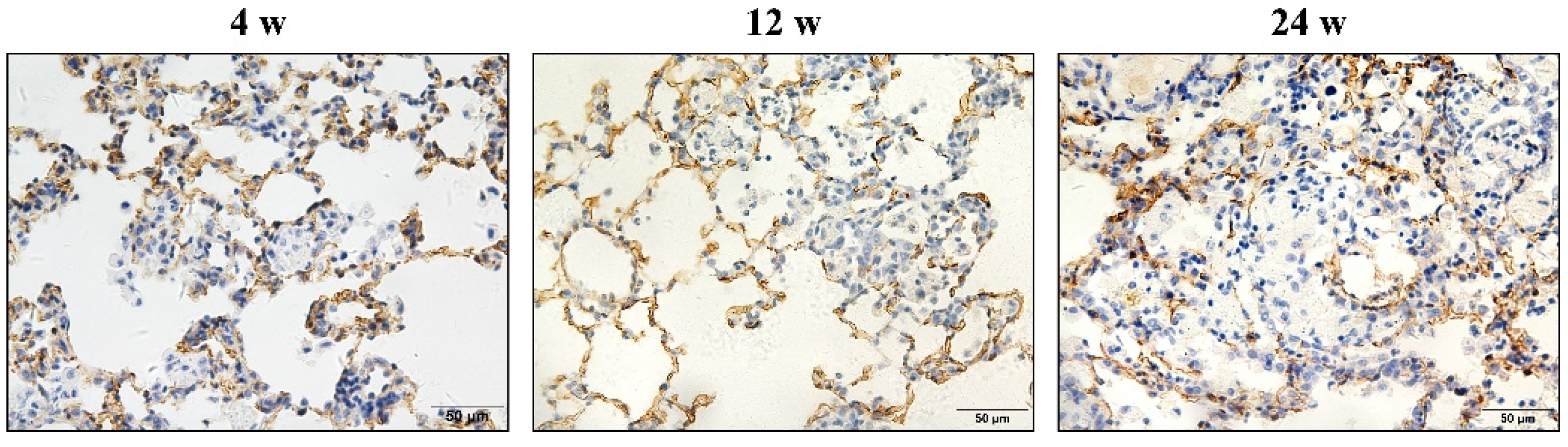 Vetsci 09 00251 g007