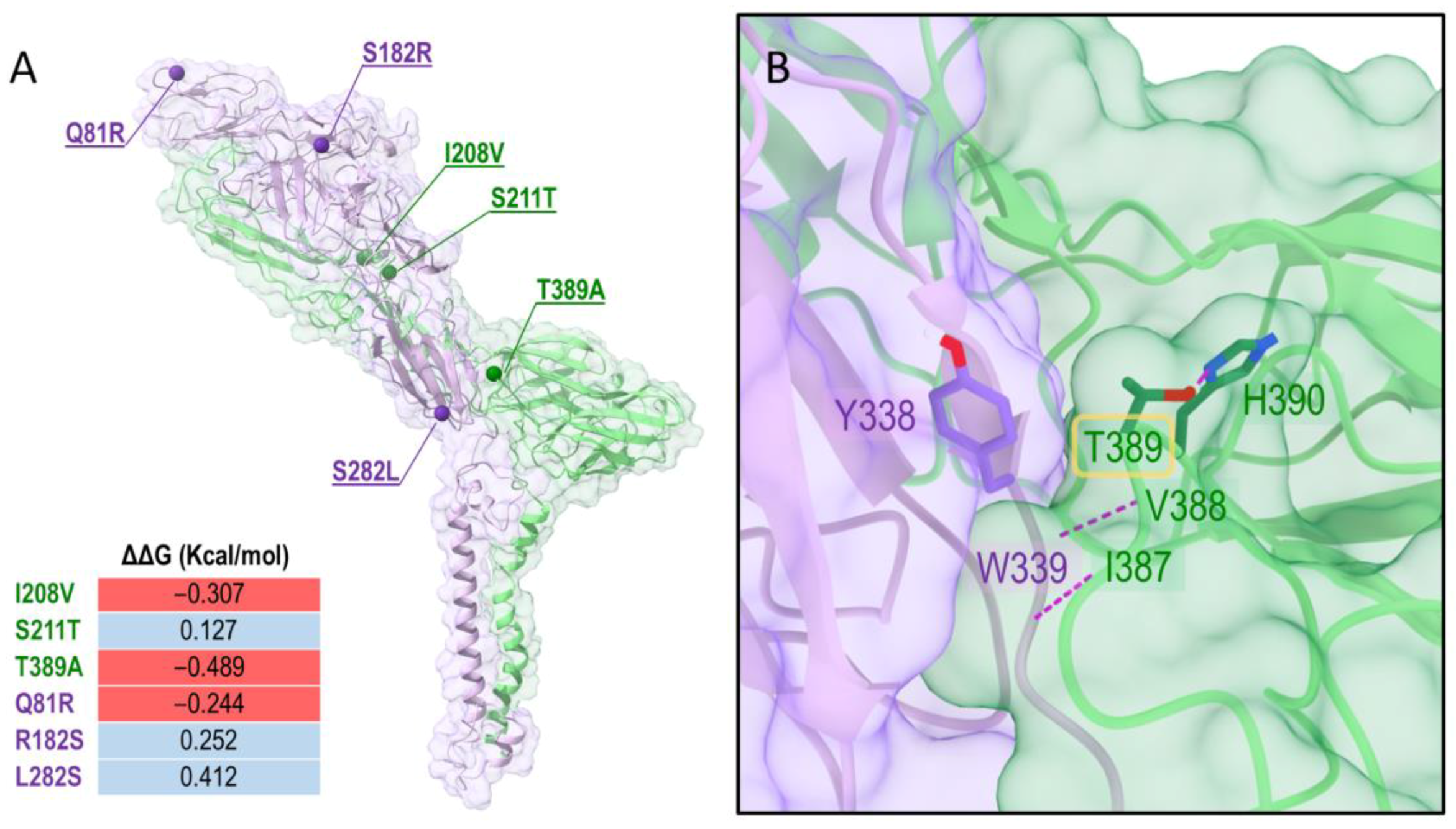 Vetsci 09 00258 g002