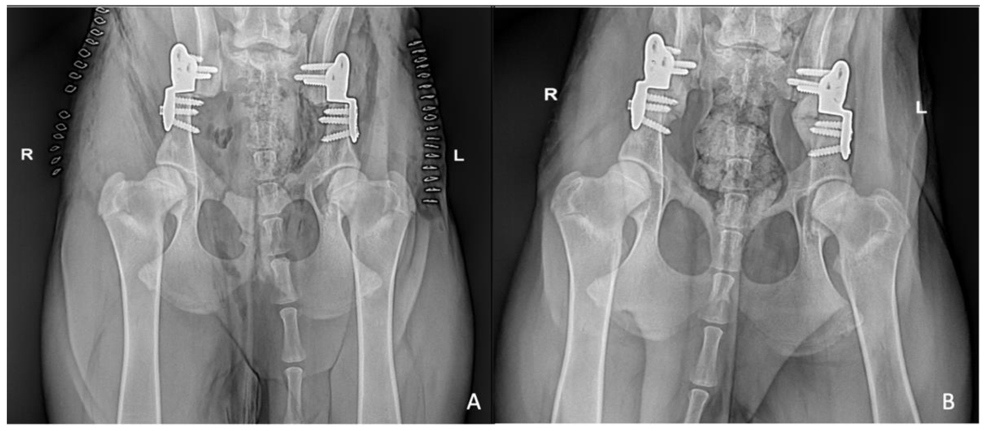 Vetsci 09 00259 g003 550