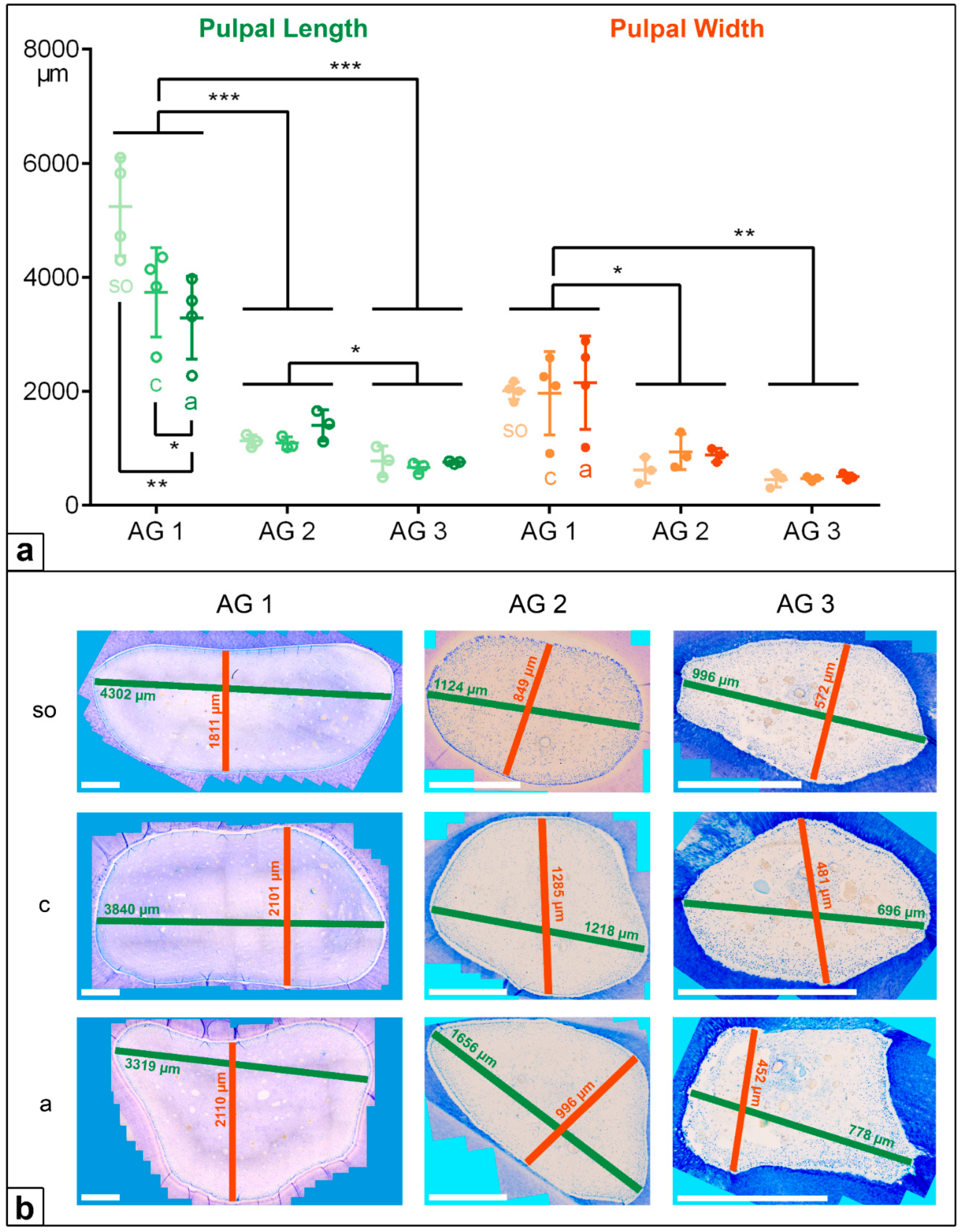 Vetsci 09 00261 g004