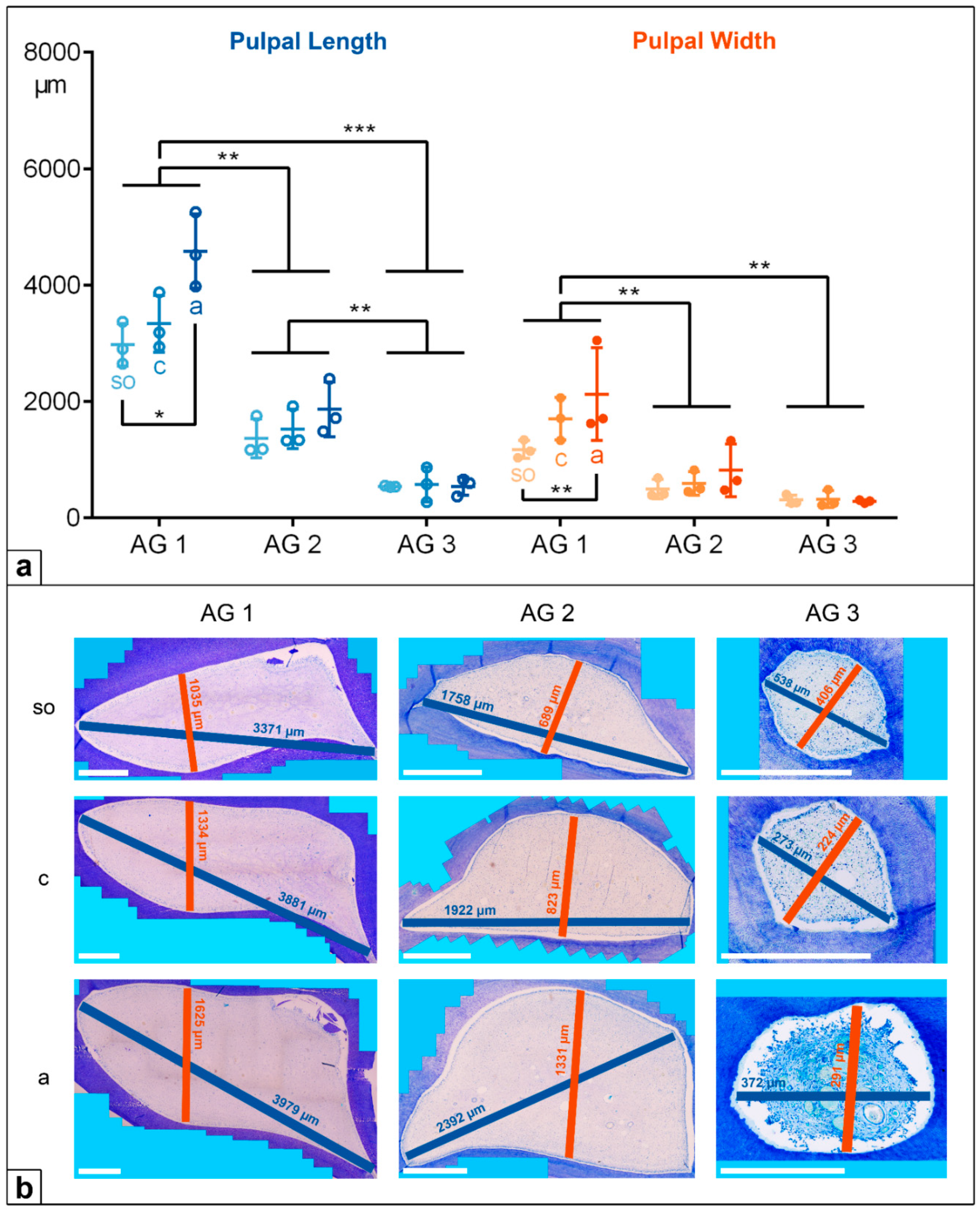 Vetsci 09 00261 g005