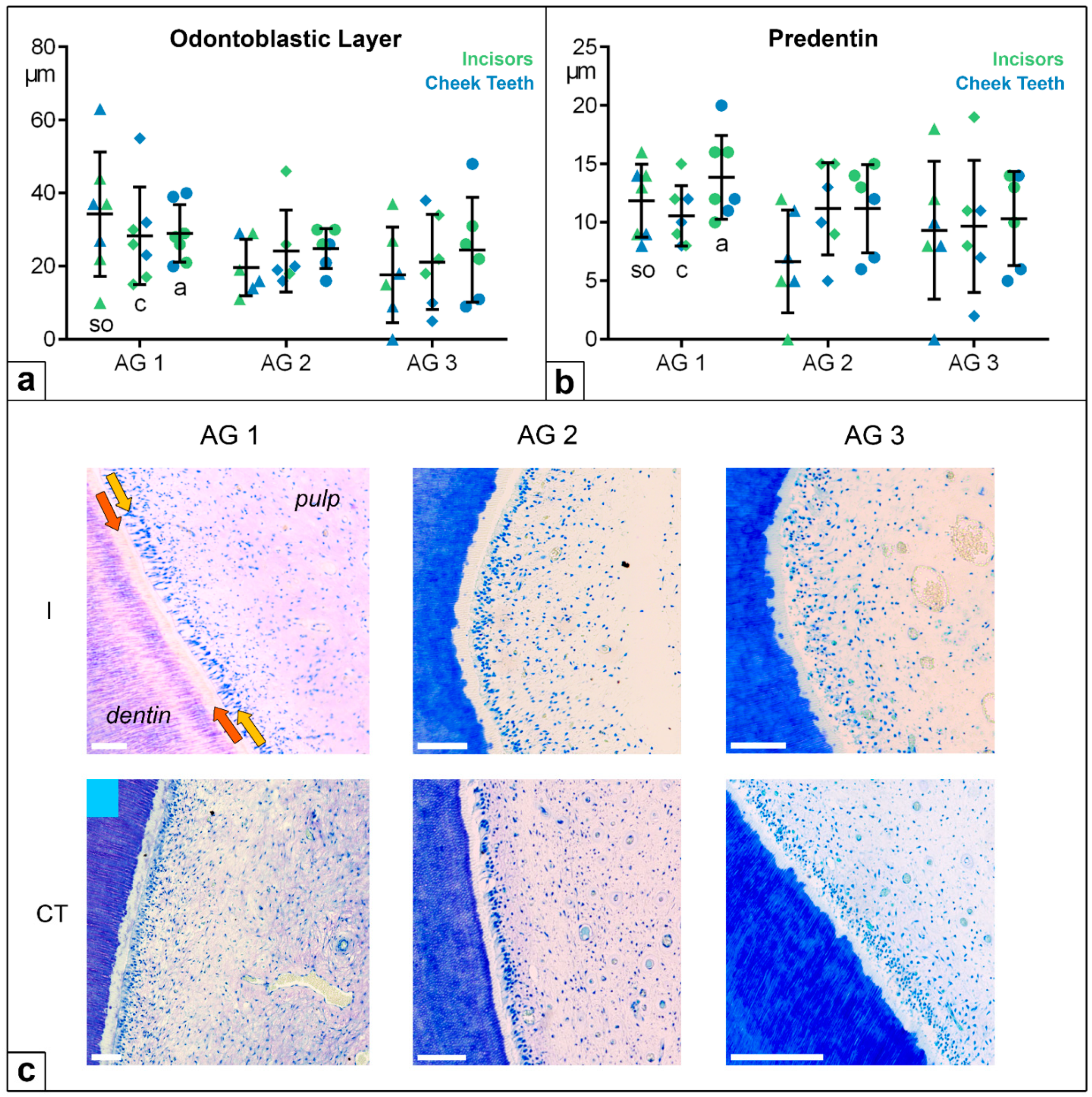 Vetsci 09 00261 g007