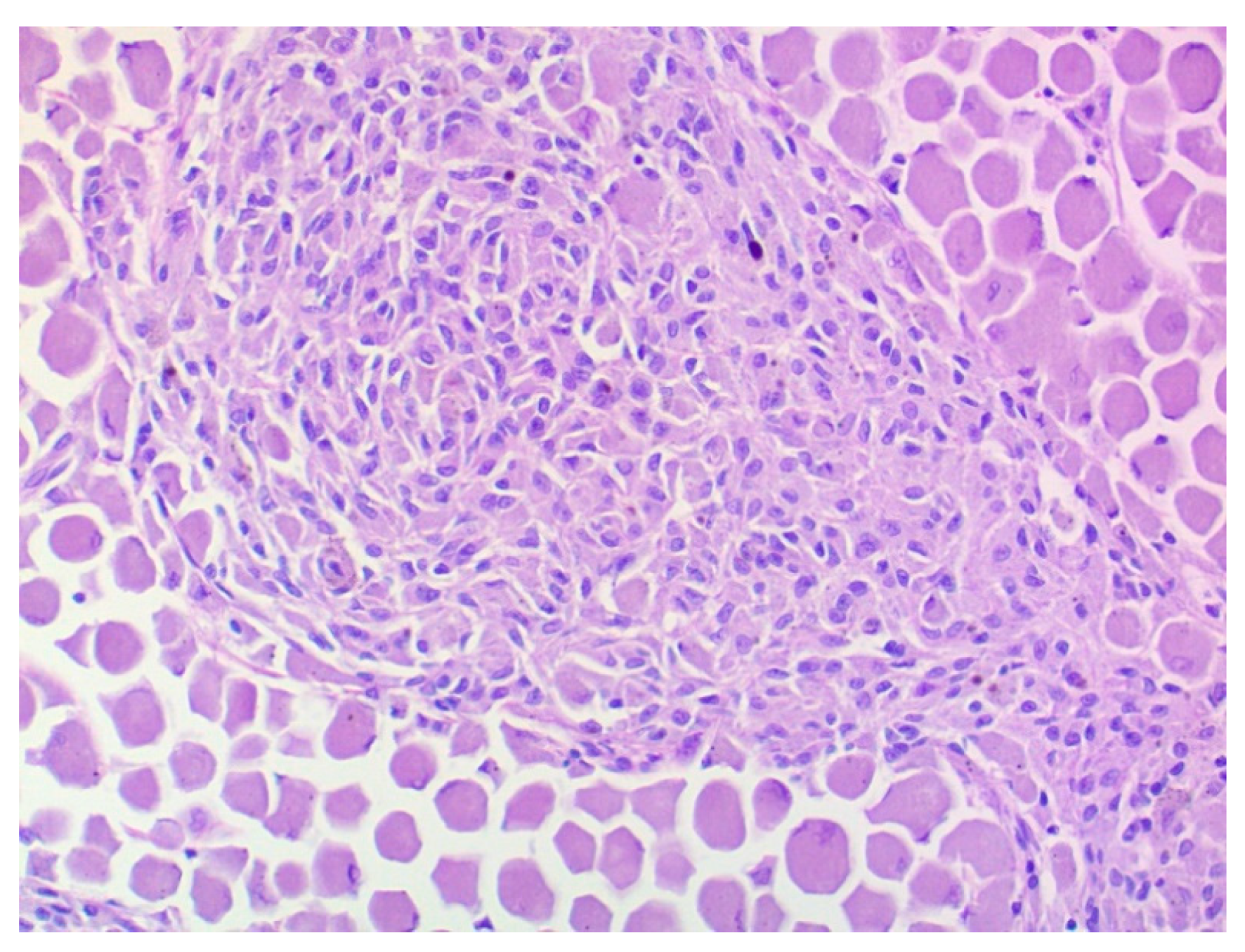 Vetsci 09 00267 g006 550