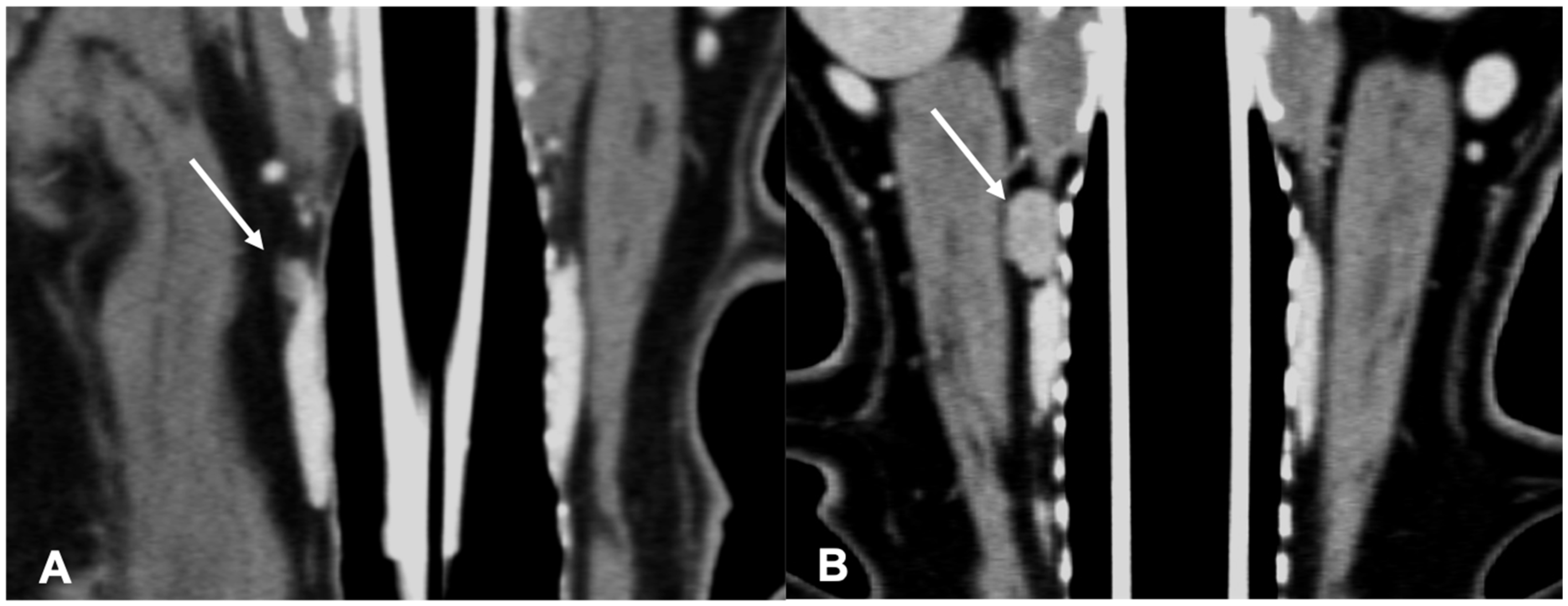 Vetsci 09 00273 g003 550