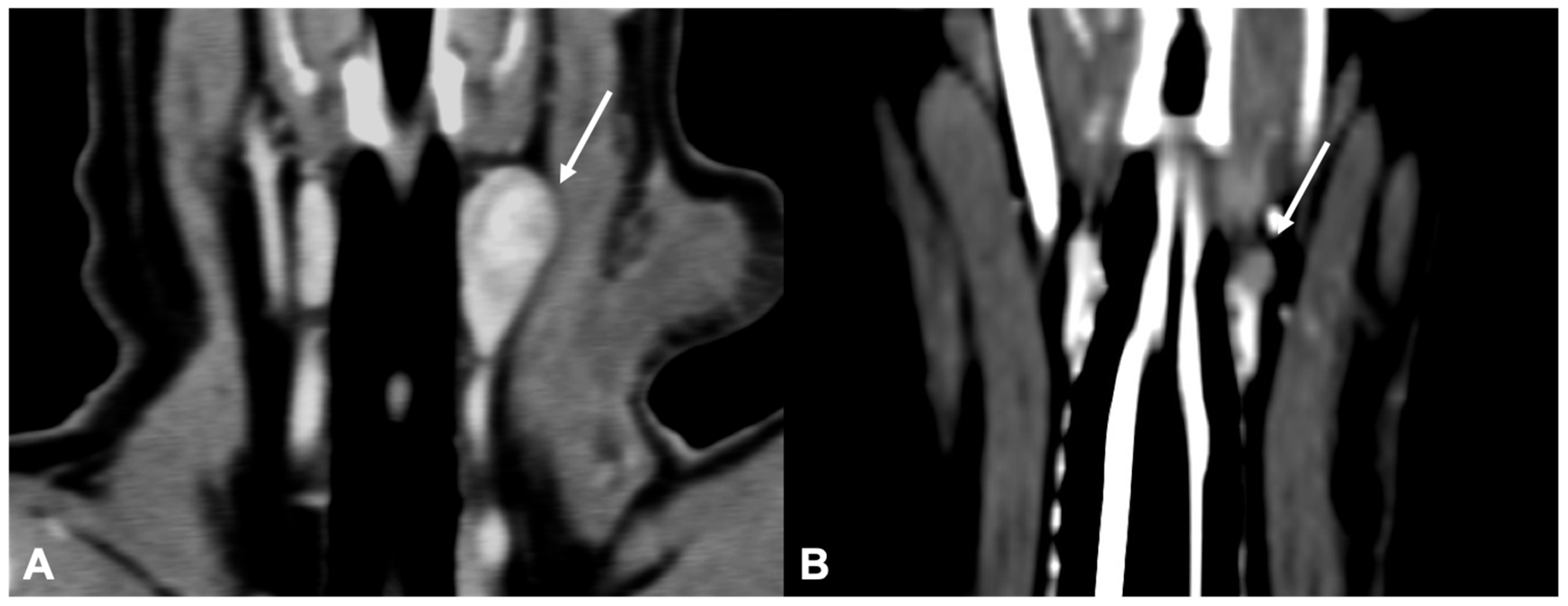 Vetsci 09 00273 g004 550
