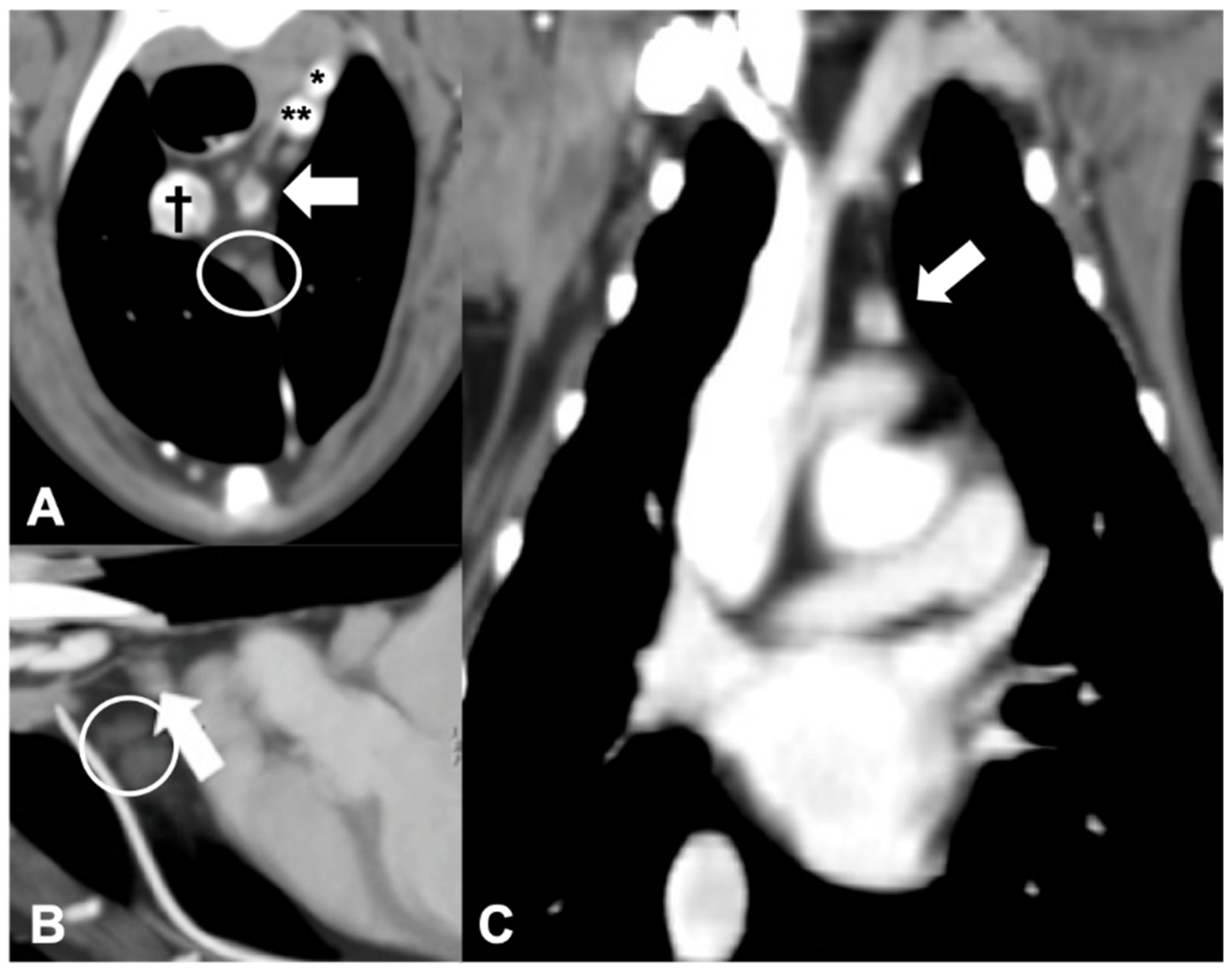 Vetsci 09 00273 g005 550