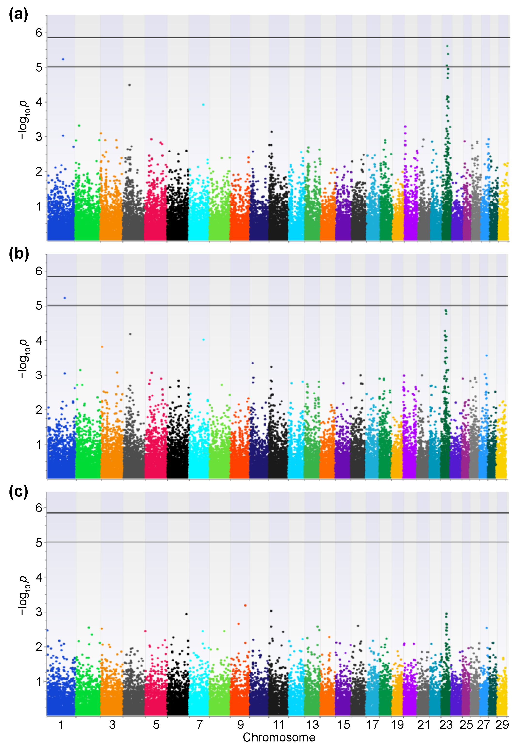 Vetsci 09 00275 g002
