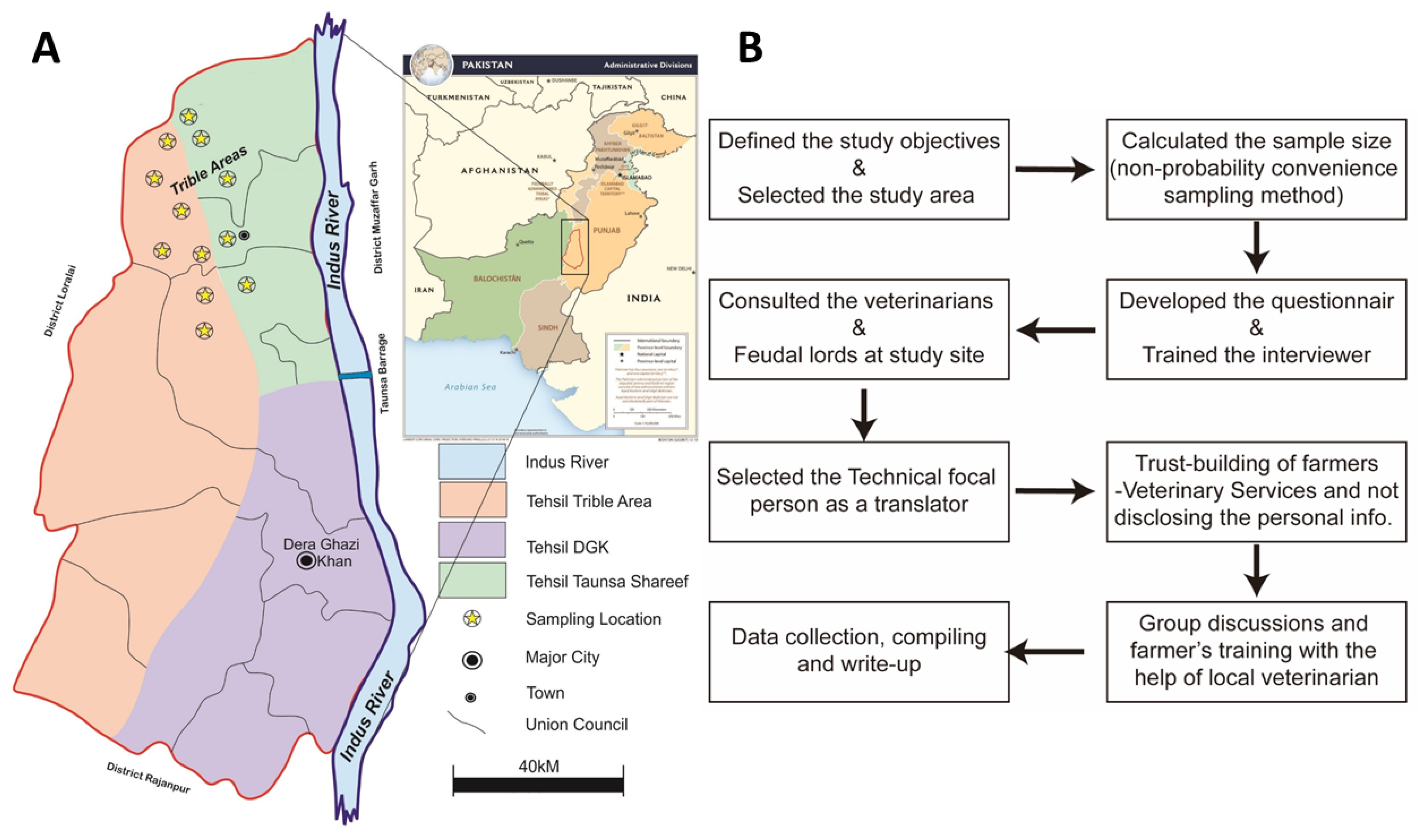Vetsci 09 00279 g001 550