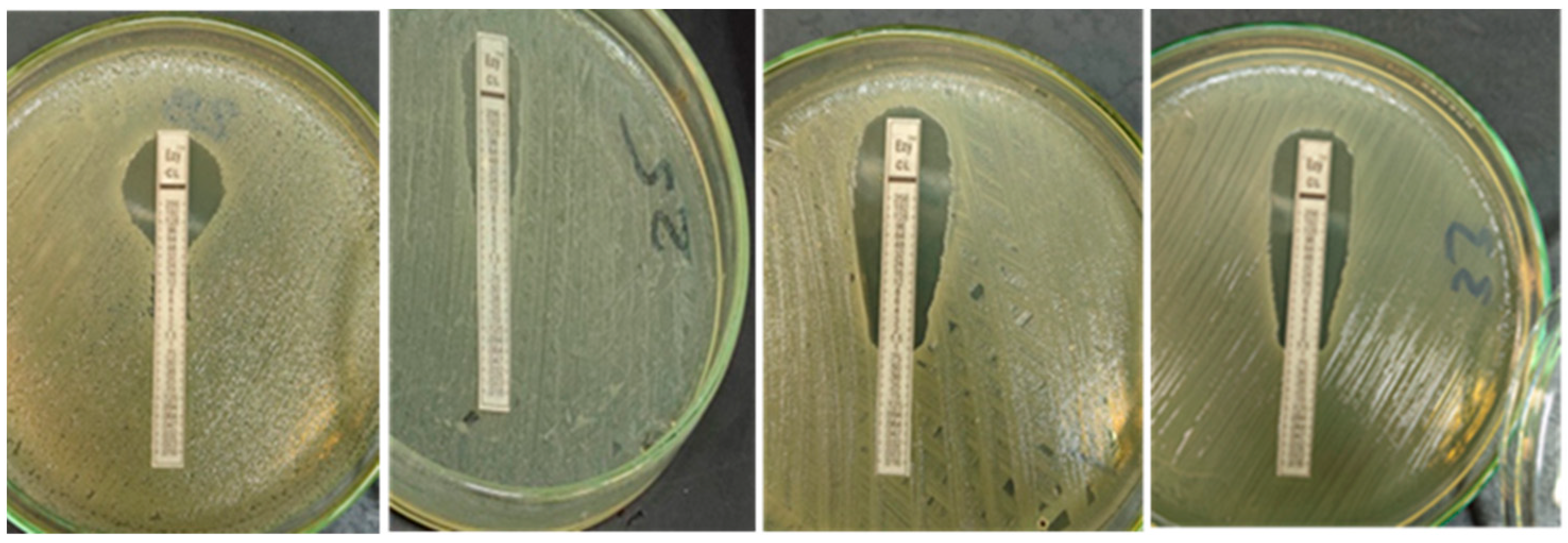 Vetsci 09 00282 g002 550