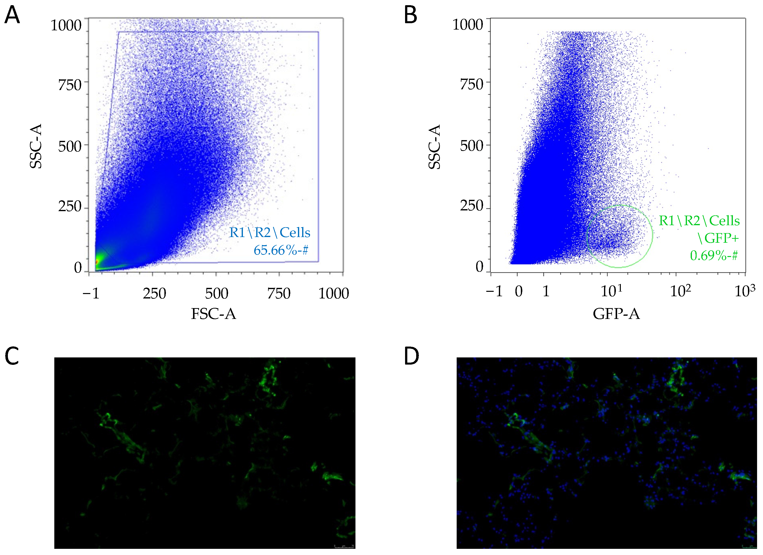 Vetsci 09 00285 g002