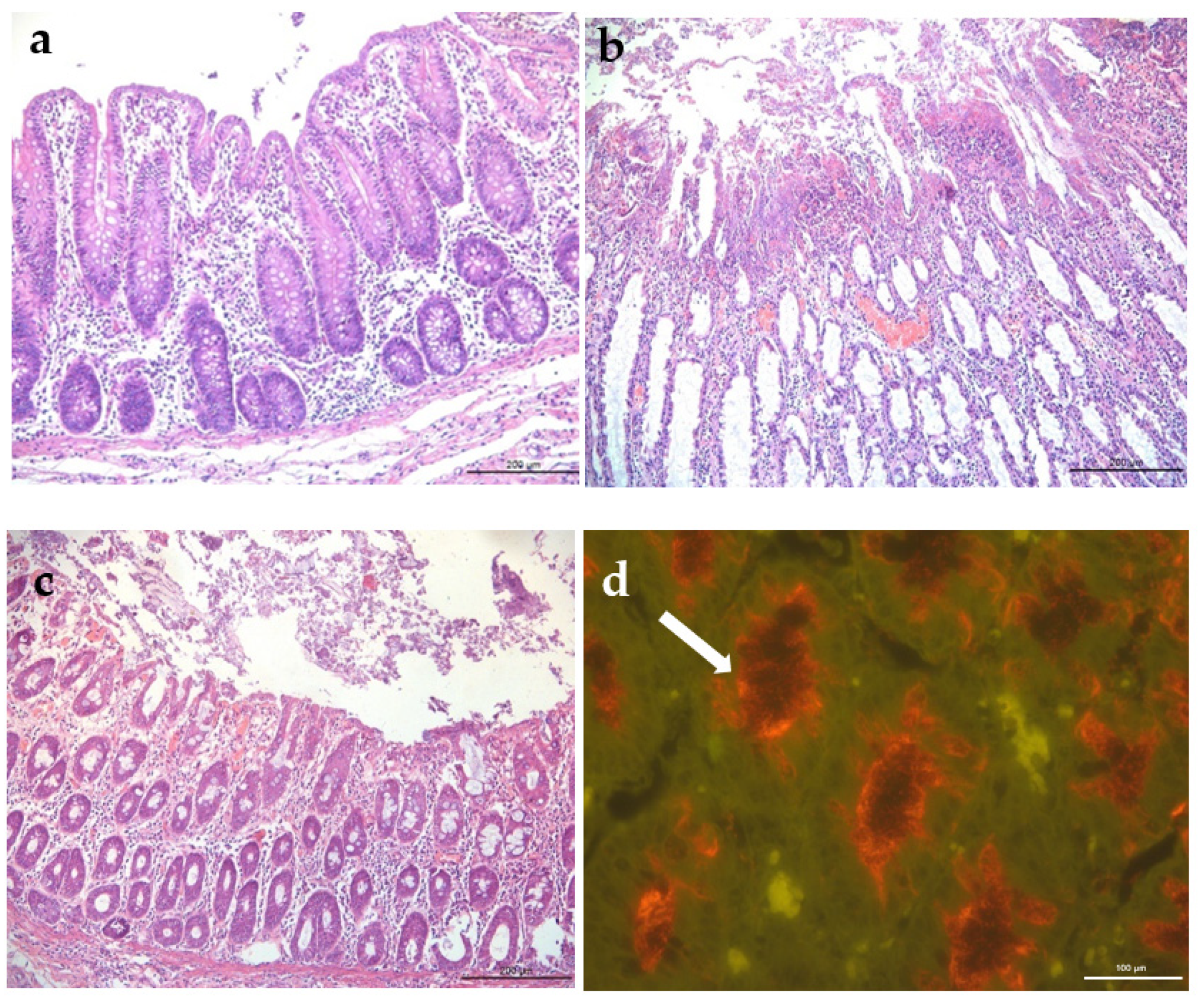 Vetsci 09 00286 g002