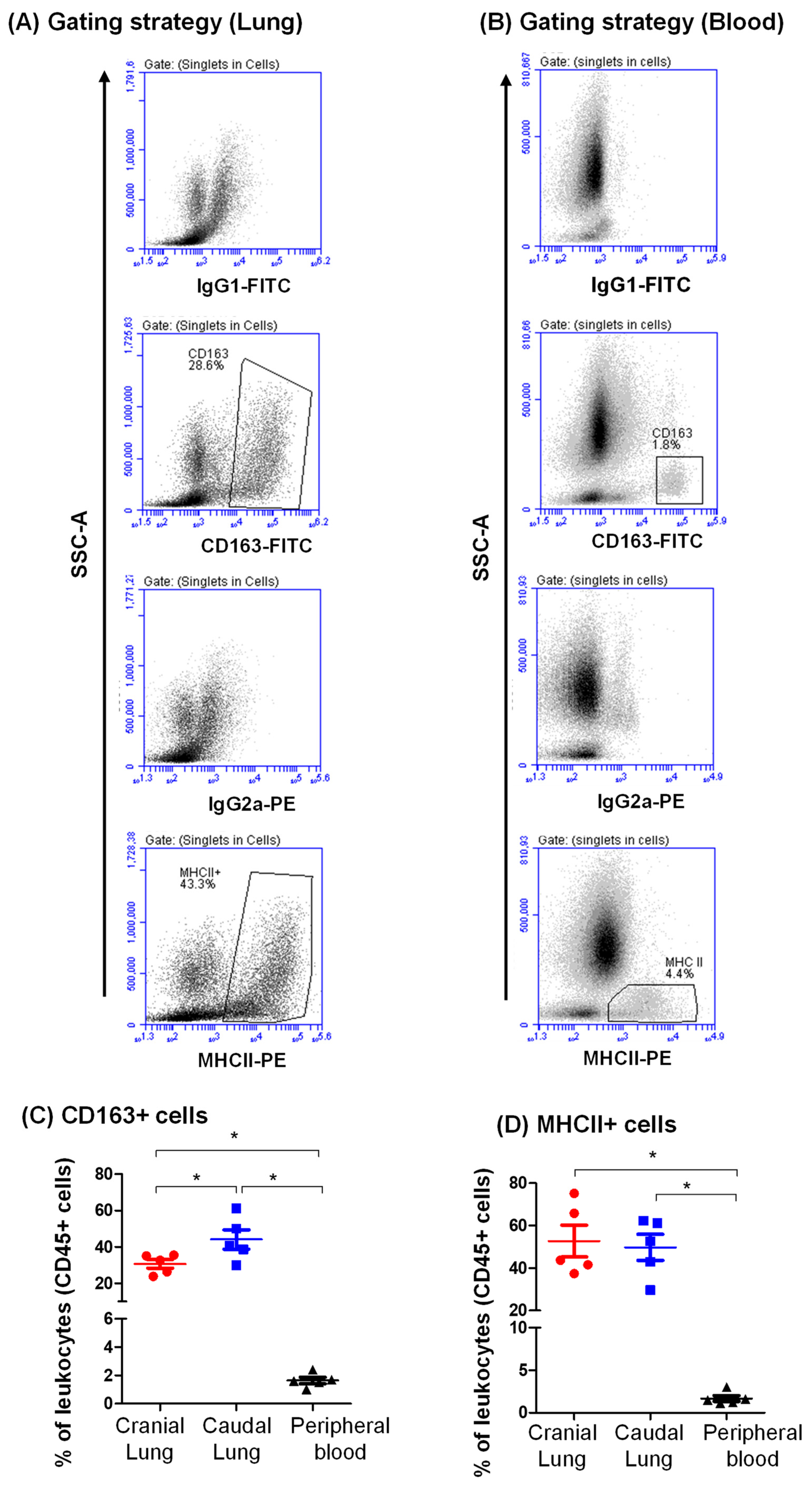 Vetsci 09 00287 g003