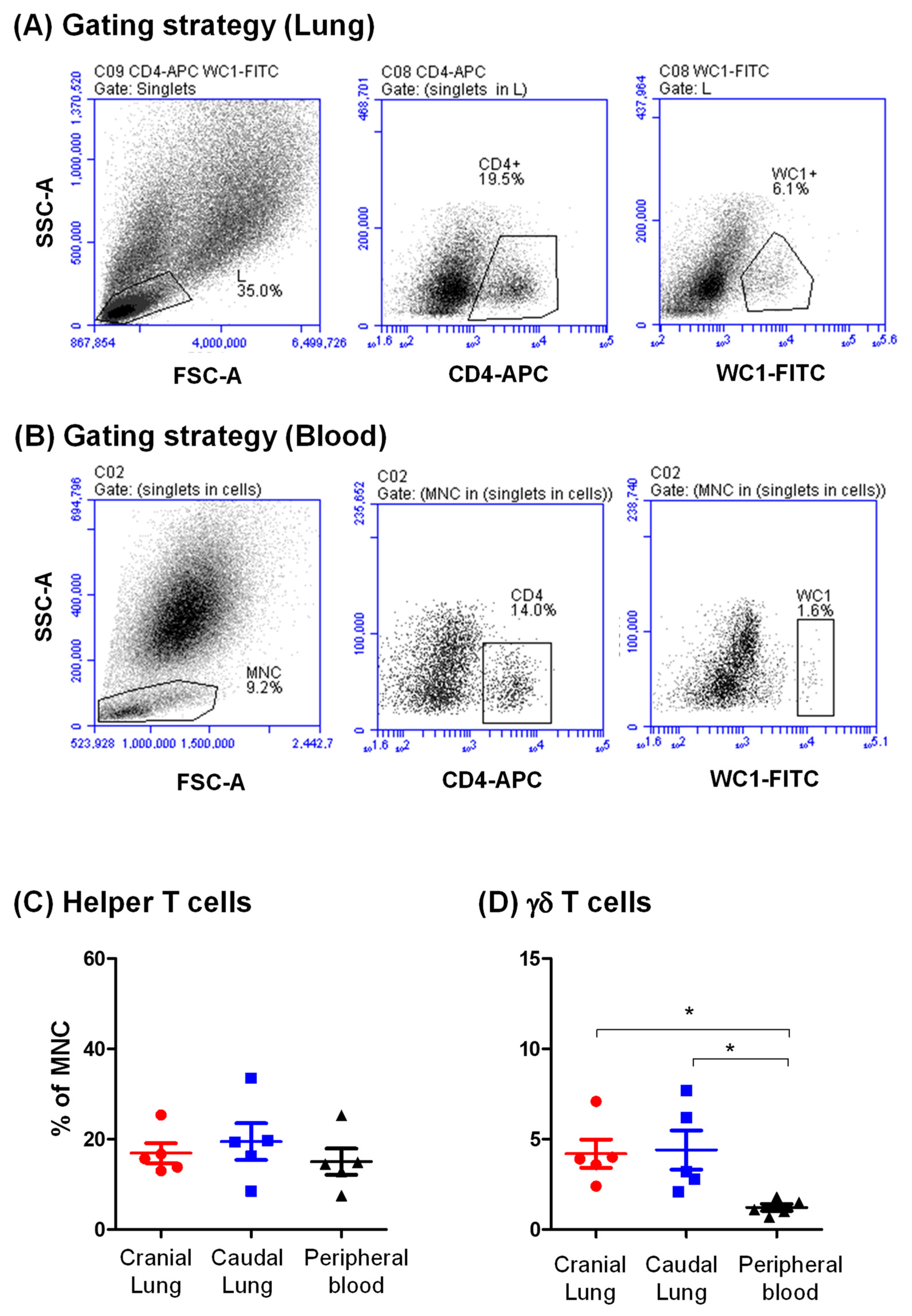 Vetsci 09 00287 g004